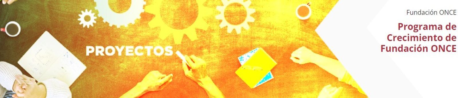 Programa de apoyo al crecimiento de startups destinadas a resolver necesidades de las personas con discapacidad