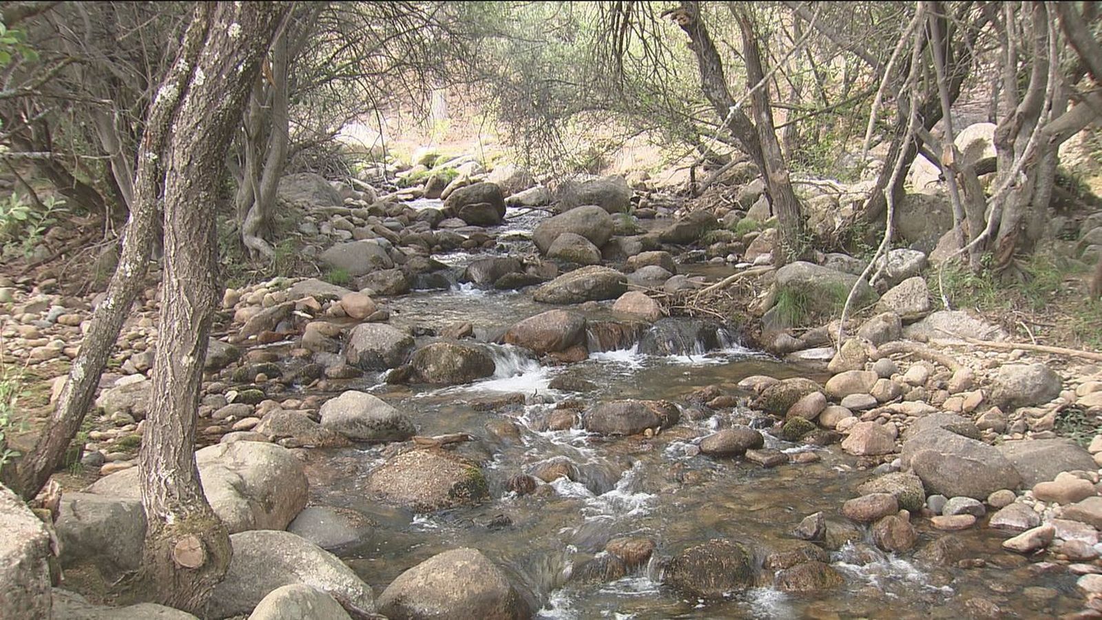 El Río Manzanares a su paso por La Pedriza