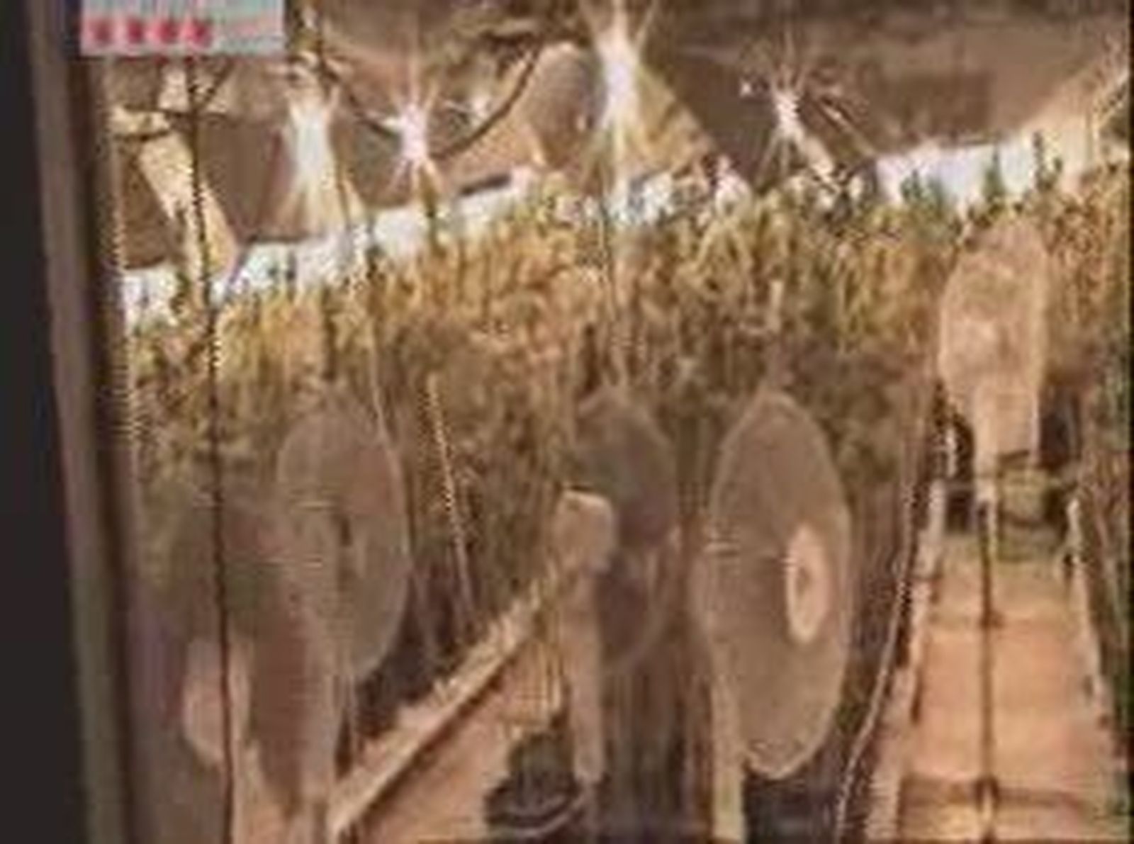 Marihuana en Begues