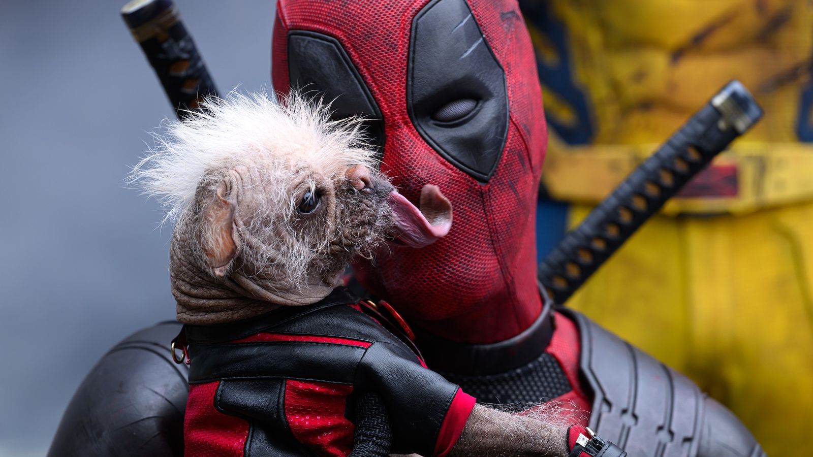 'Dogpool'