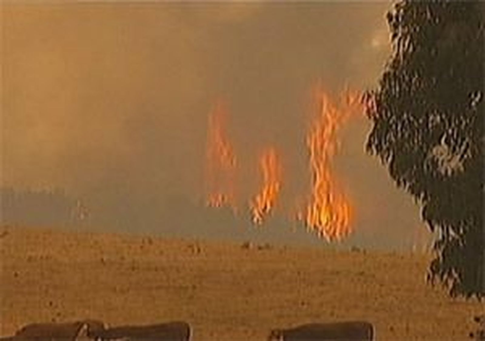 Los incendios empeoran en el este de Australia con llamas de hasta 40 metros