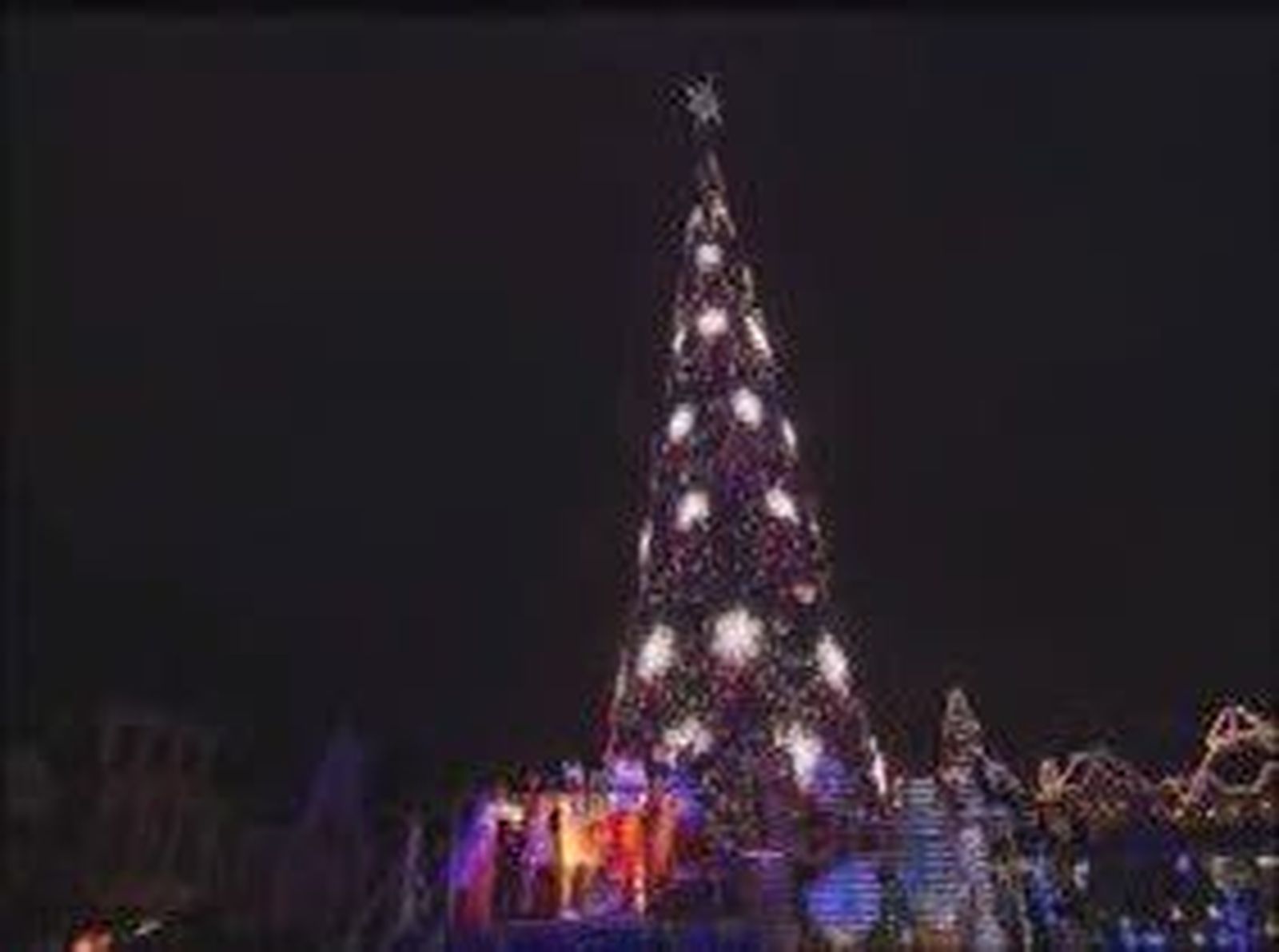 Disney_2010117V0.wmv