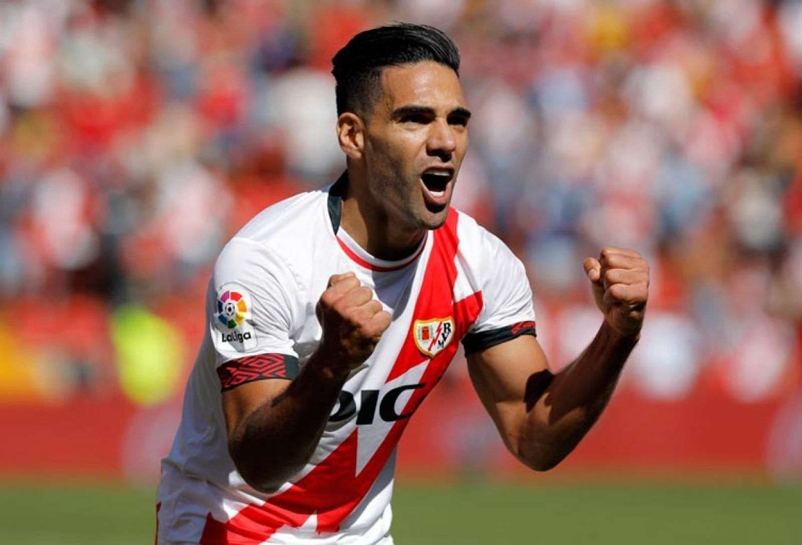 Falcao