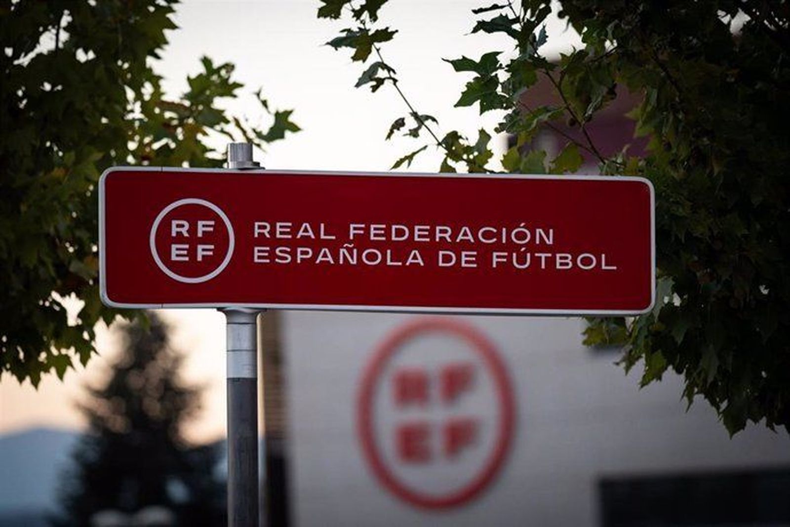 Las elecciones para elegir nuevo presidente de la RFEF serán el 16 de diciembre