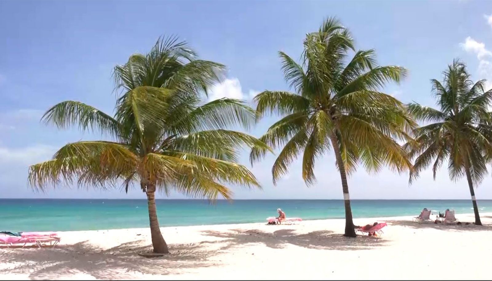 Madrileños por el Mundo viaja este martes a Barbados