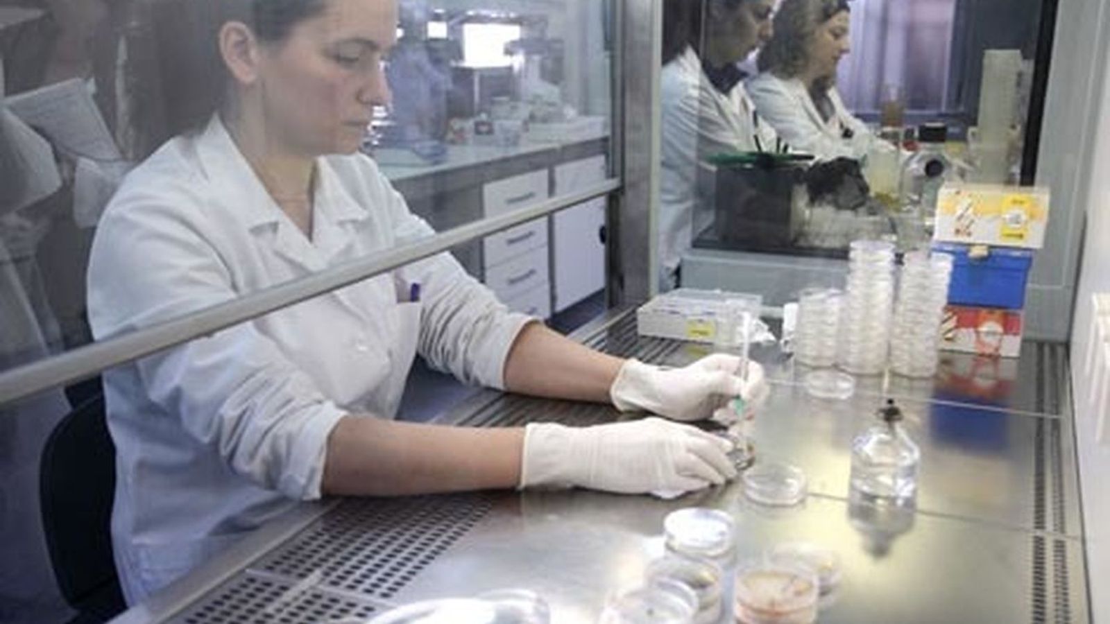 La OMS eleva a 228 los casos de hepatitis infantil aguda, en al menos 20 países