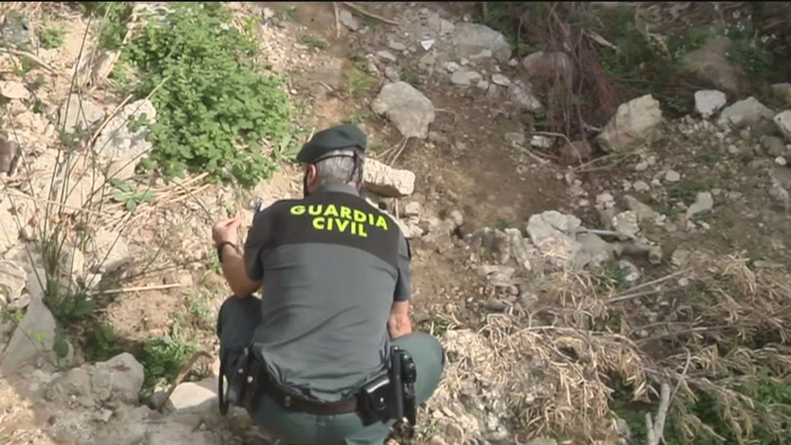 Una semana tras las huellas de la pantera negra de Granada