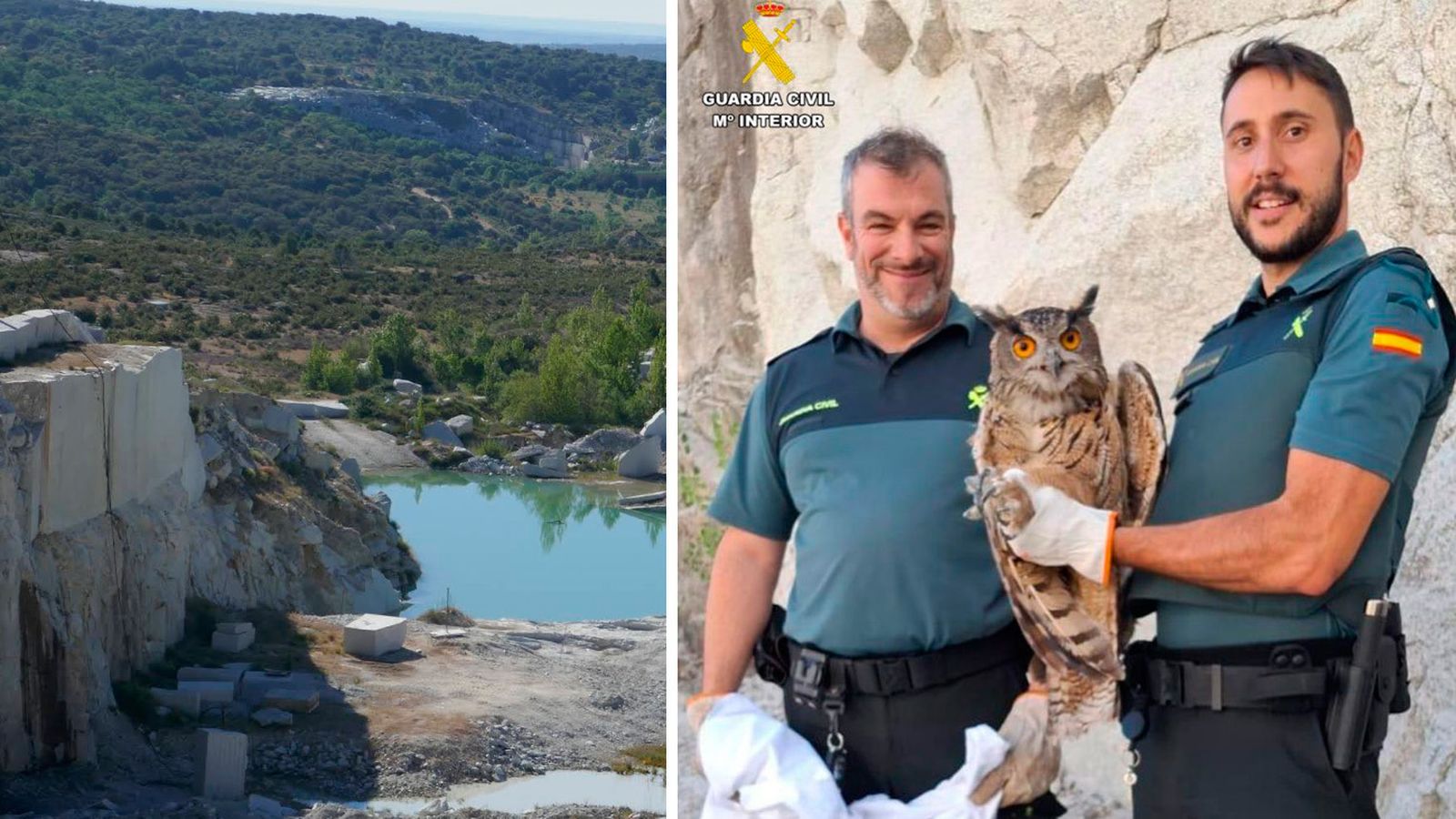Imagen de los dos agentes de la Benemértia con el buho rescatado en la cantera de Los Navazales en Valdemanco