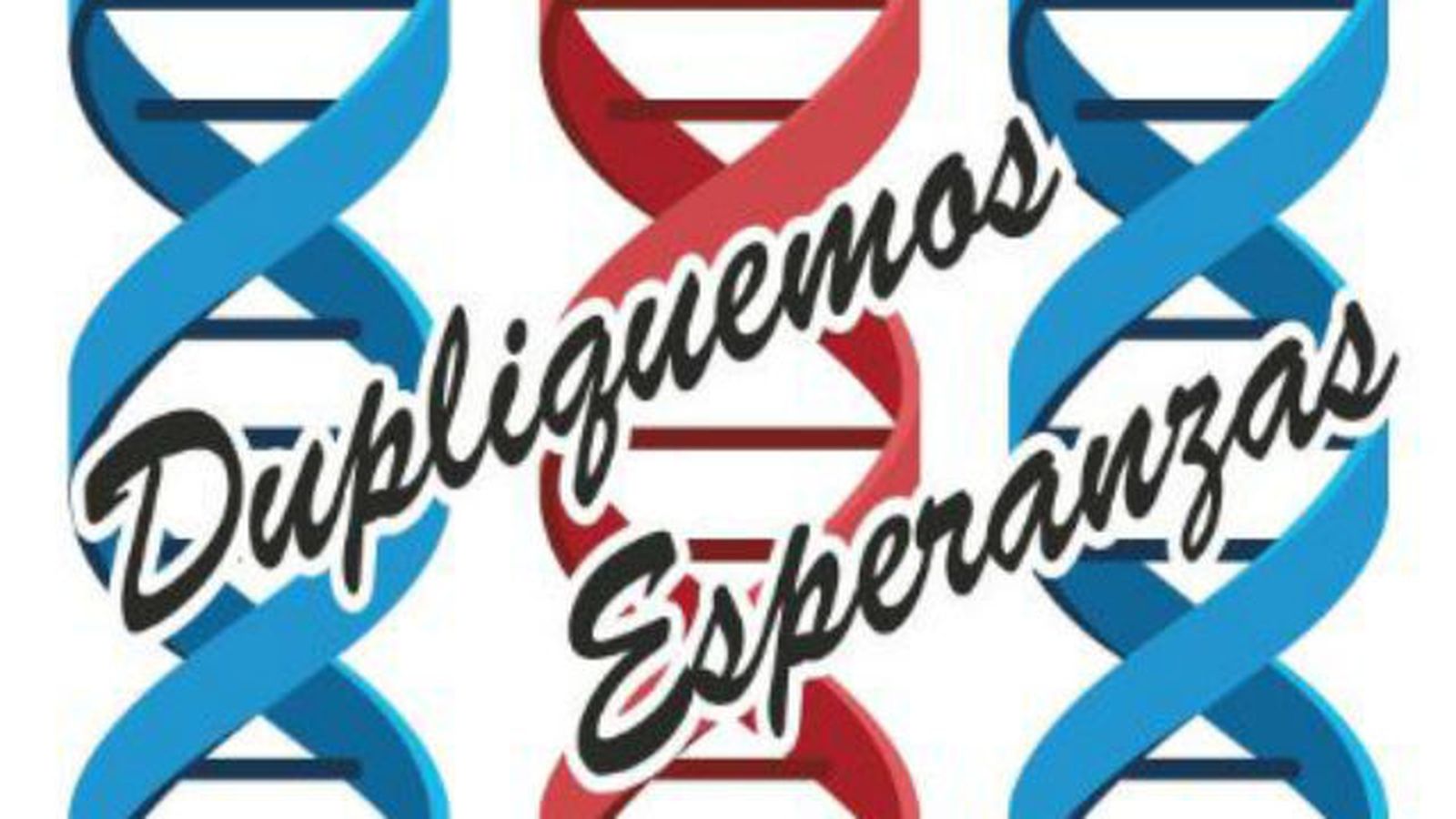 La fundación 15q organiza la ‘I jornada científica sobre el Sindrome 15Q’