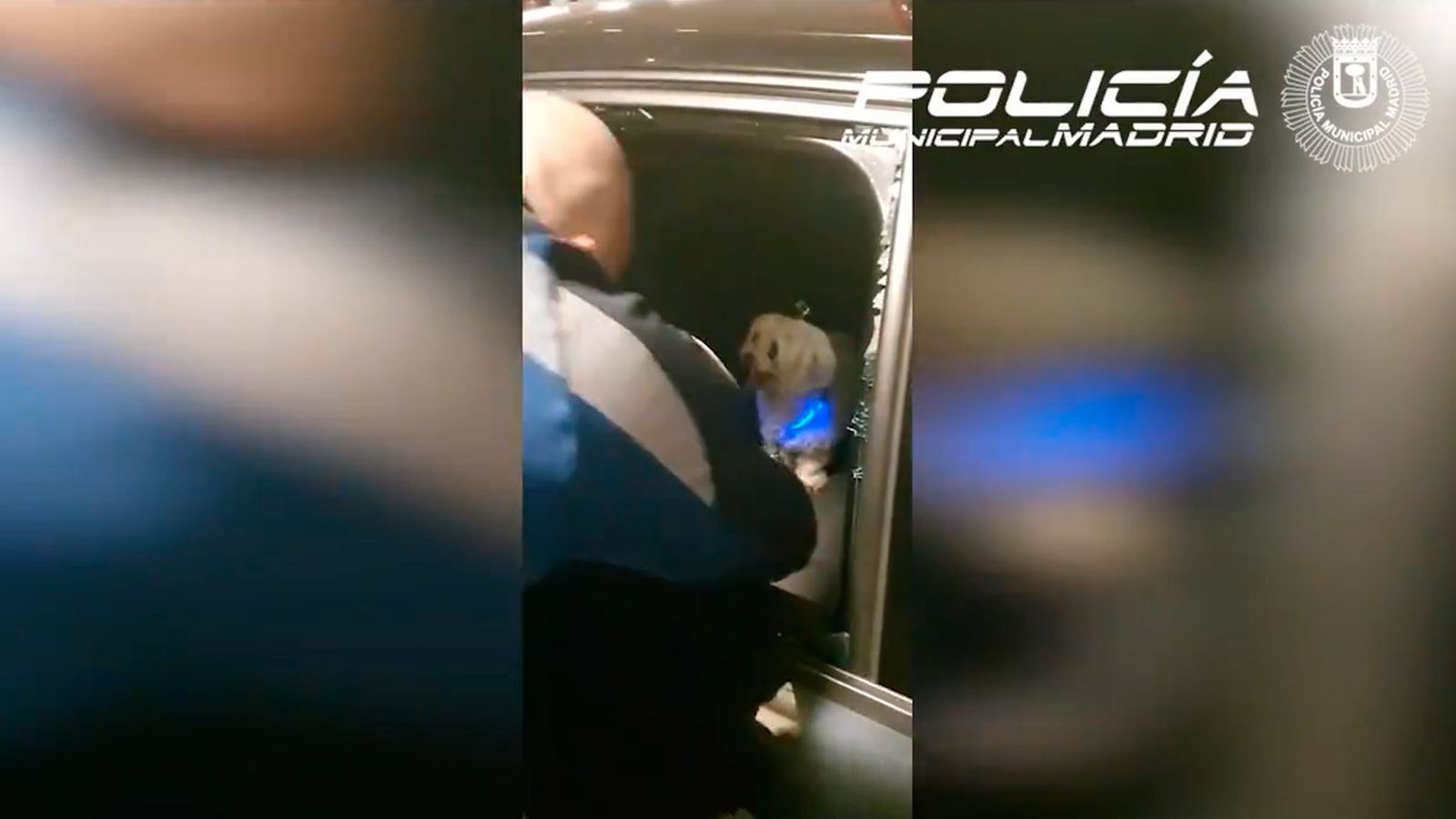 La policía municipal rescate a un perro encerrando en un coche durante horas en un parking público de Madrid