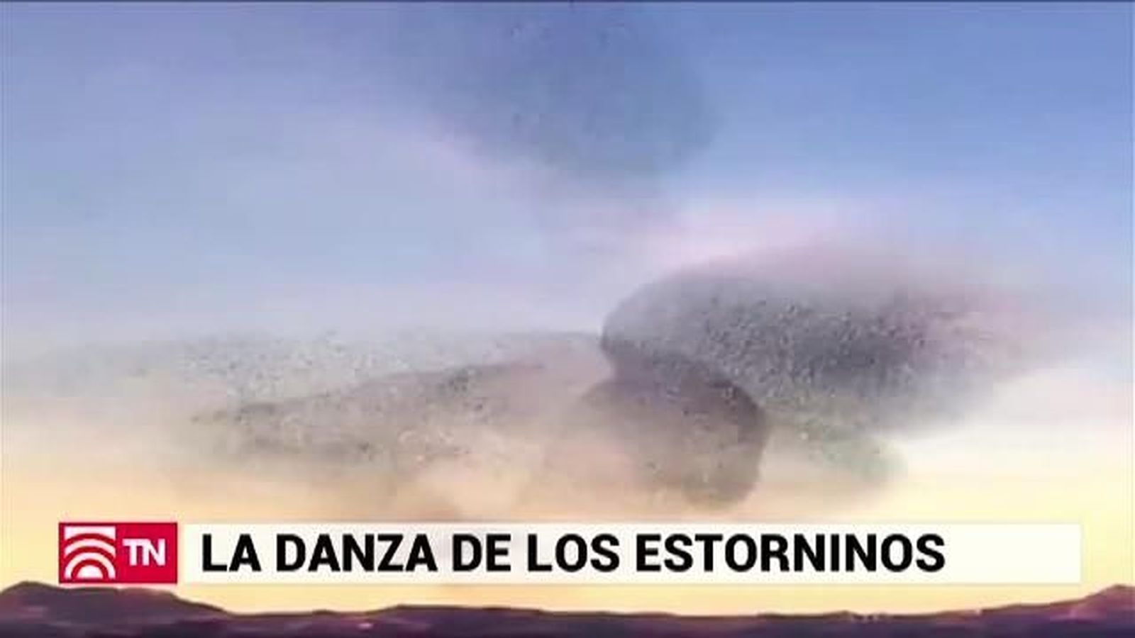 El Tiempo 31.03.2019