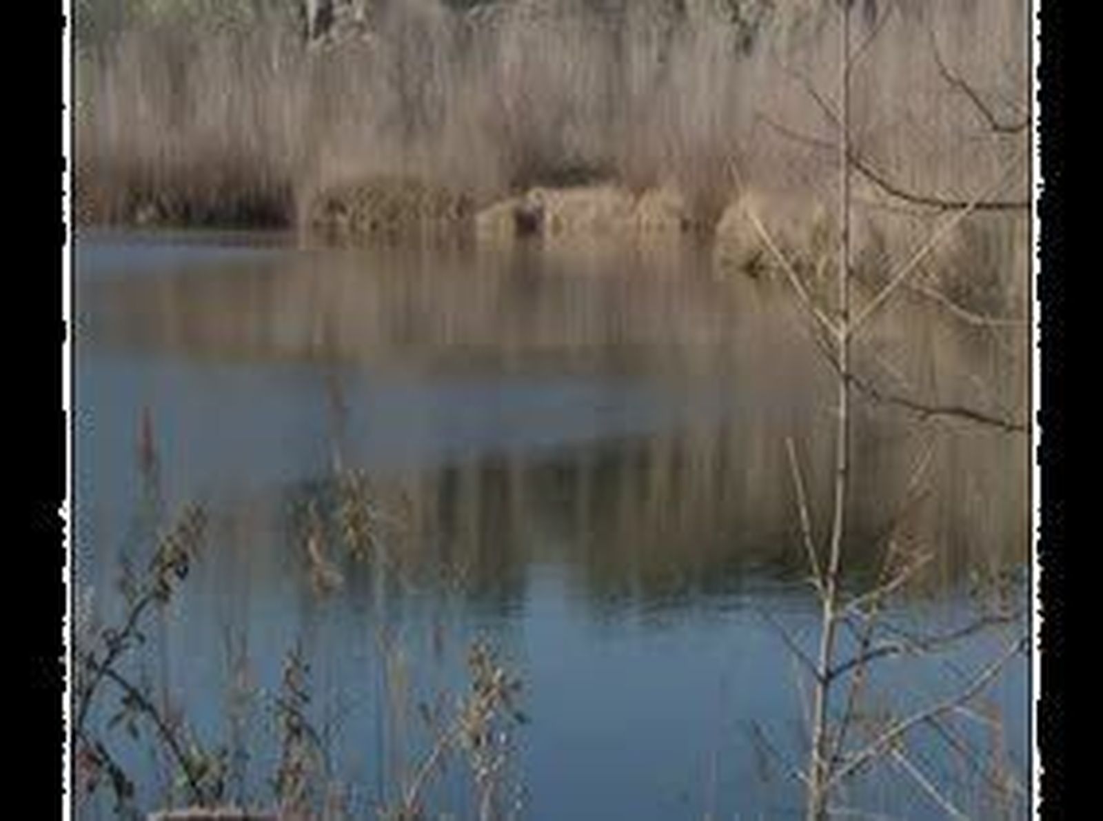 humedales_madrid_tn2.mp4
