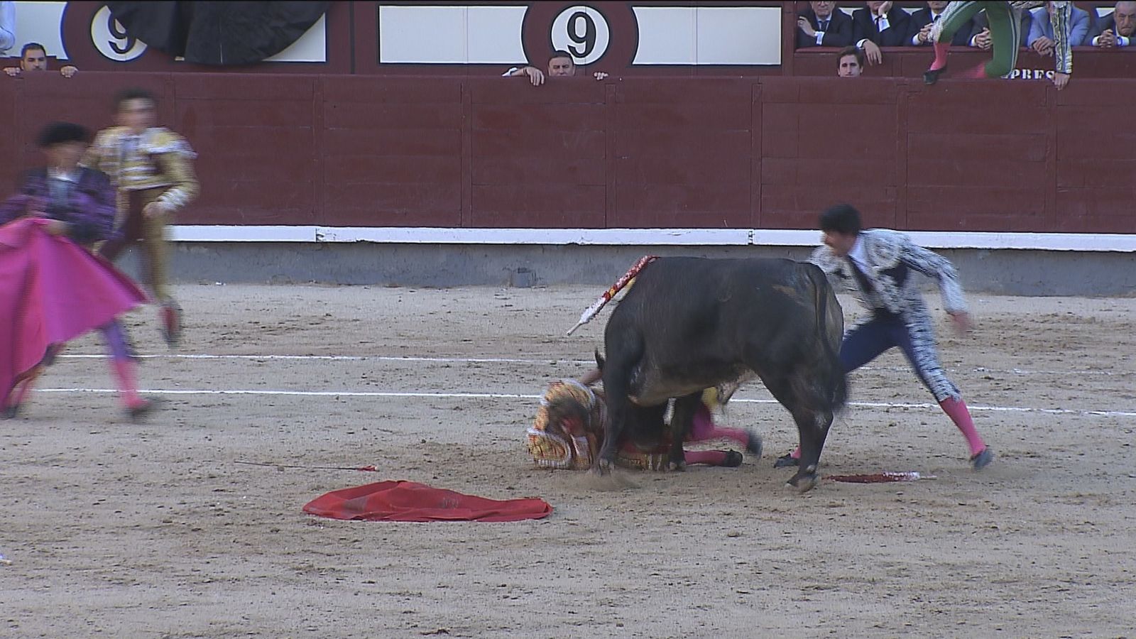 Cogida a Manuel Escribano en Las Ventas