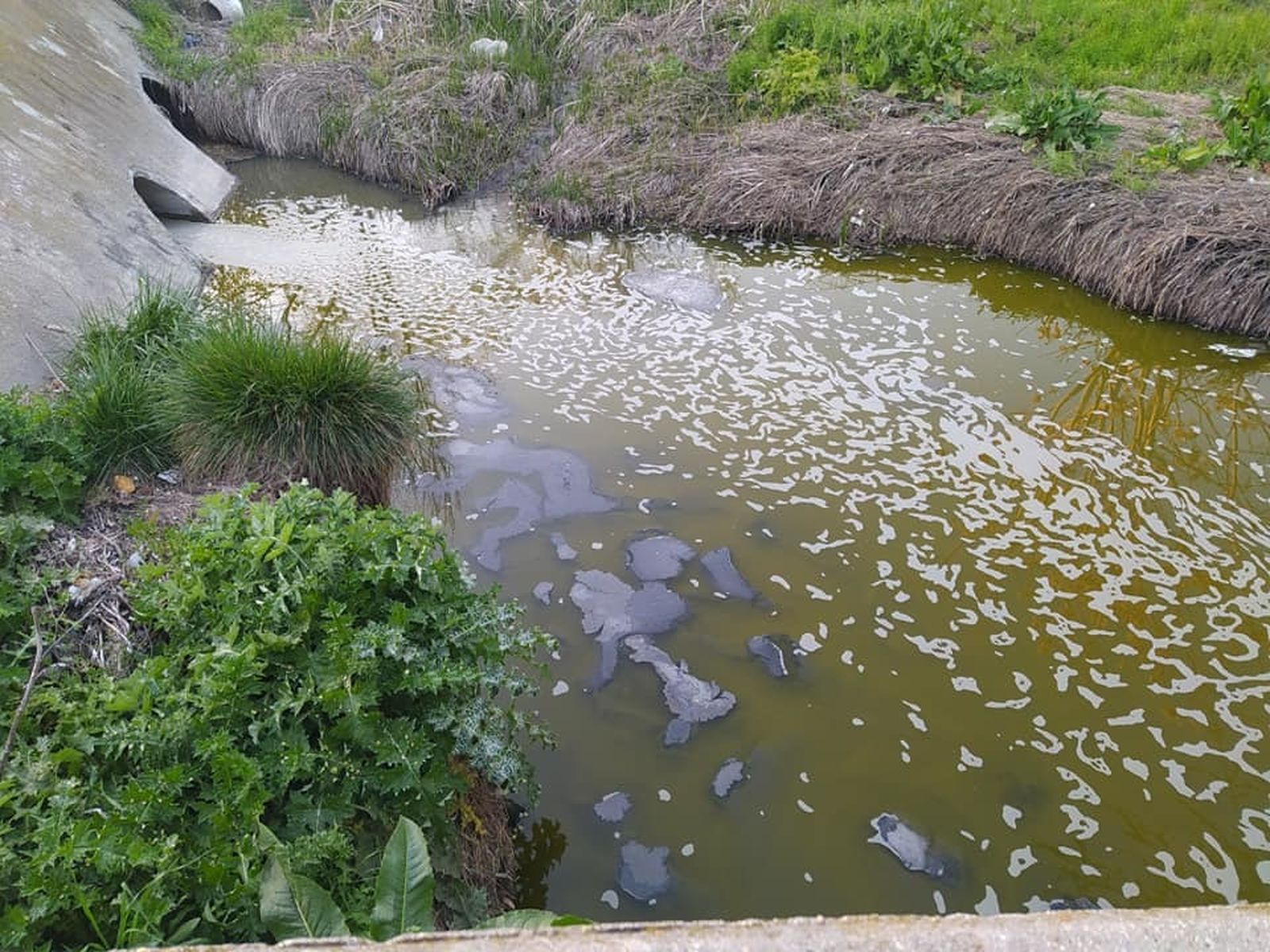 Vertidos del arroyo de La Abulera en Perales del Río