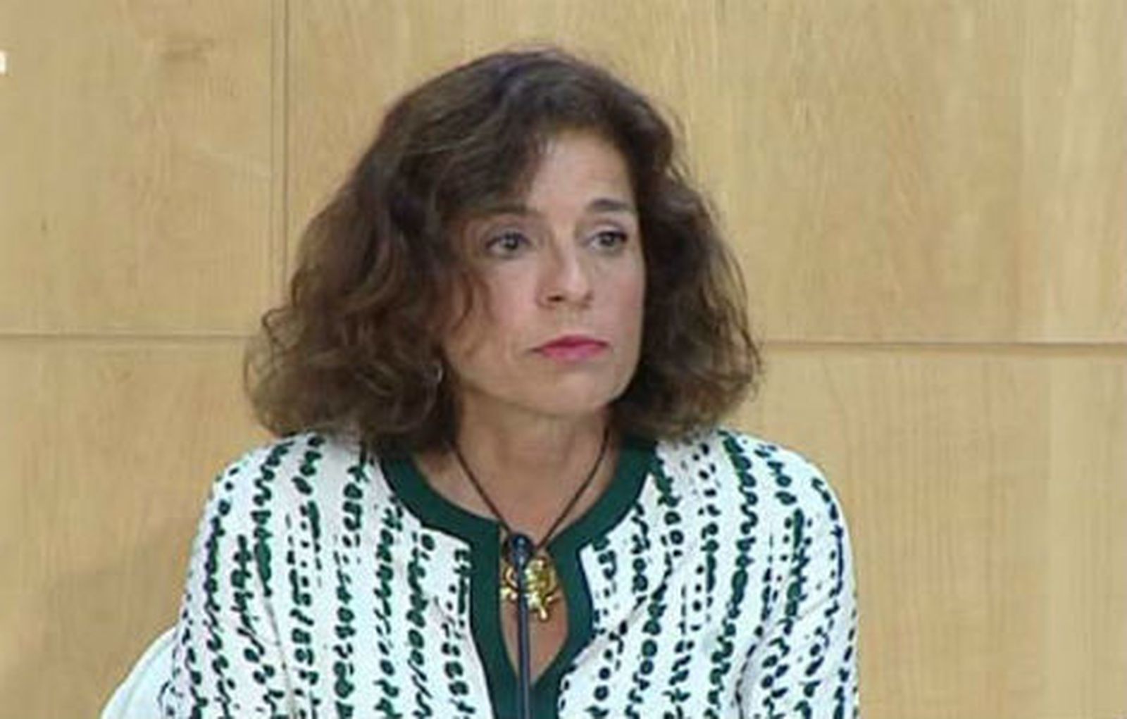 Botella dice que el Ayuntamiento está "en diálogo permanente con el taxi"