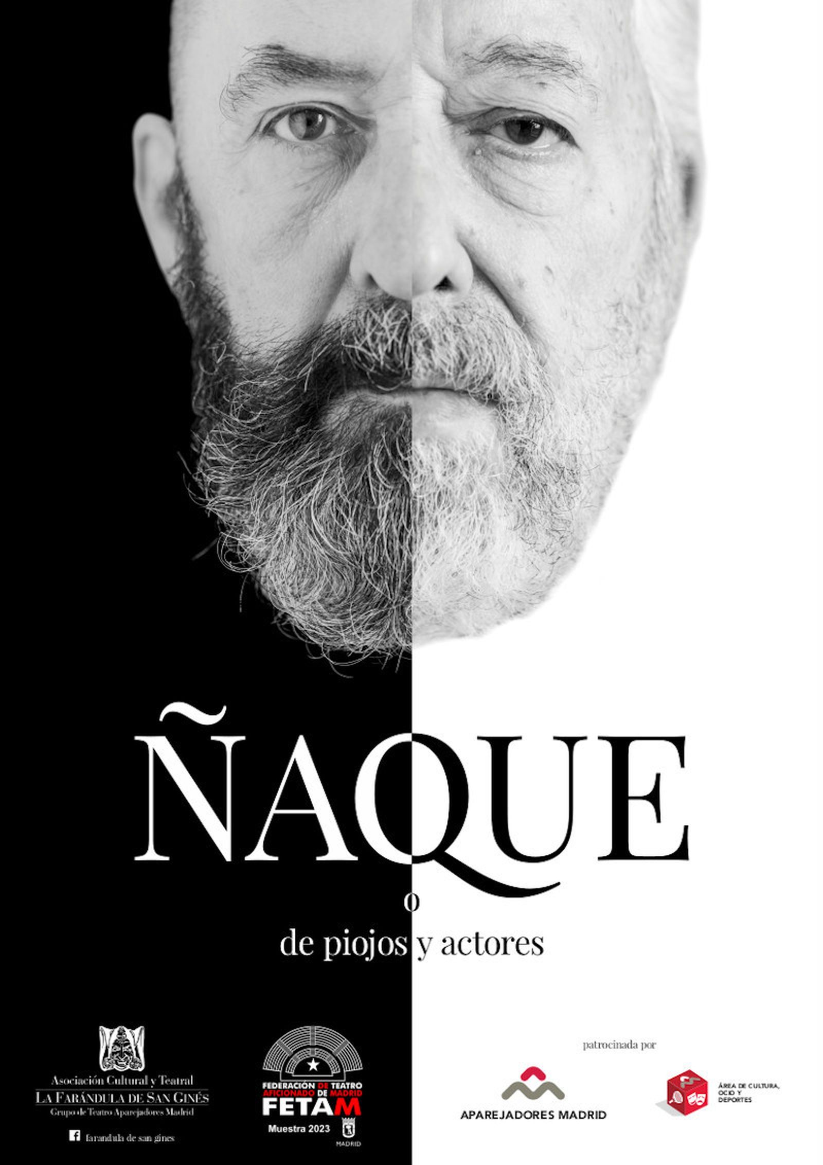 Cartel de la obra 'Ñaque o de piojos y actores'