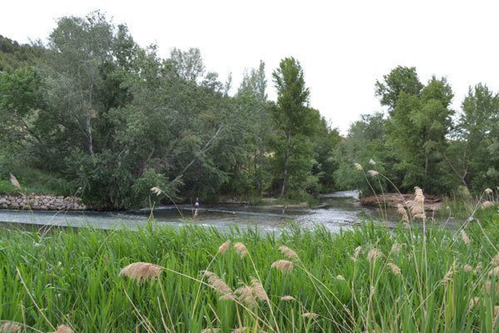 La Isla de los García, en Alcalá de Henares