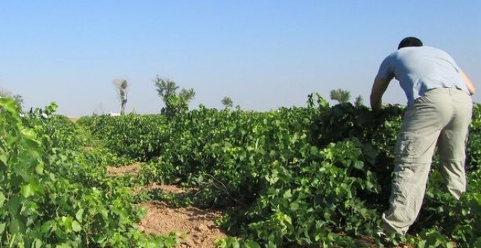 La Autónoma investiga las iniciativas agroecológicas más innovadoras del país