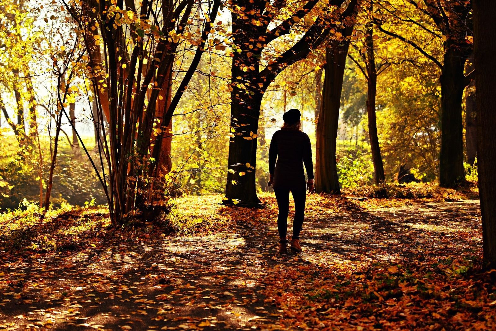 Los nacidos en otoño son los más longevos, según un estudio