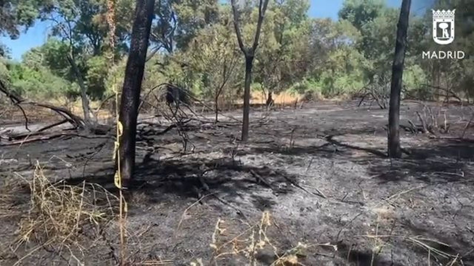 Estado de la Casa de Campo tras el incendio de la zona del Zarzón