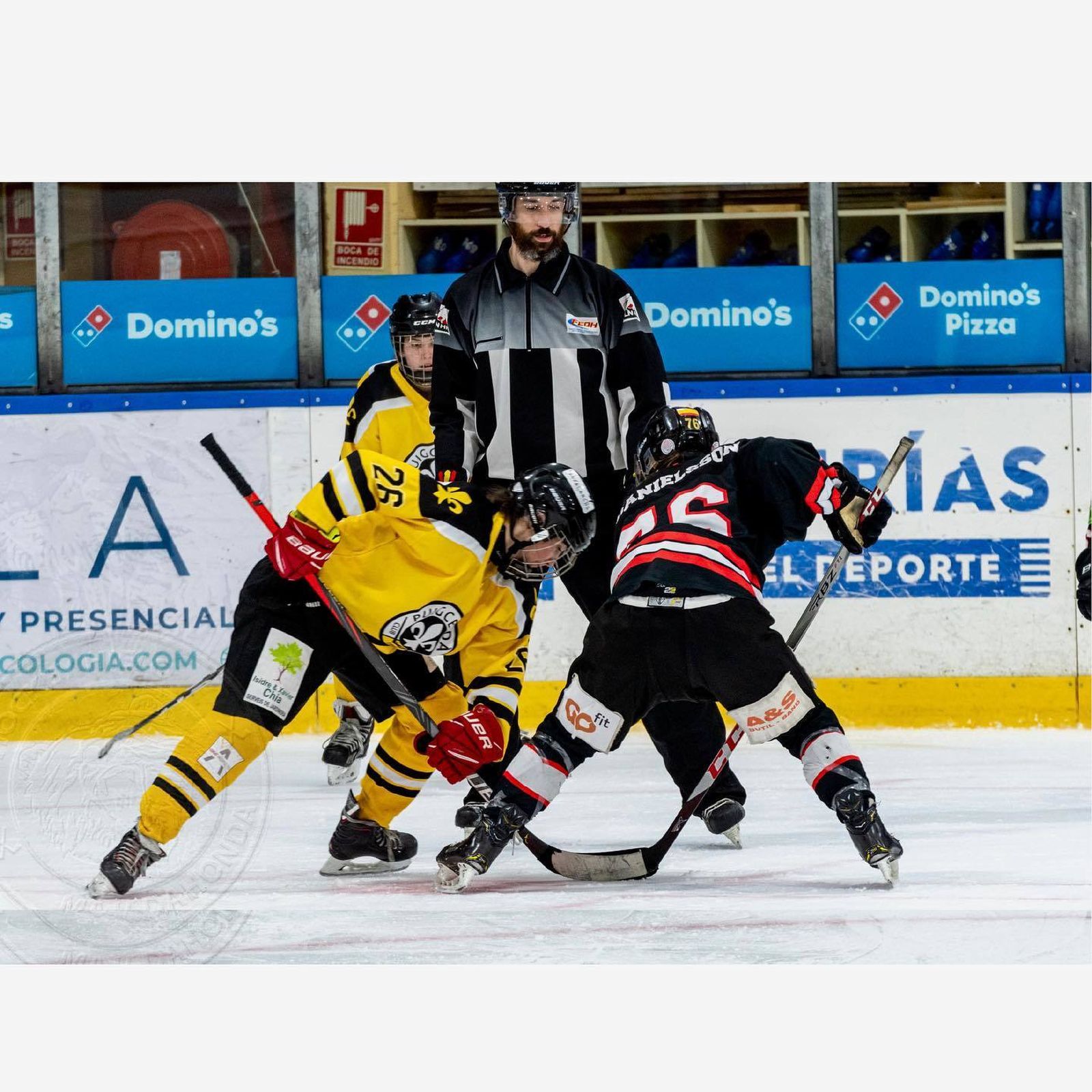 Hockey Majadahonda