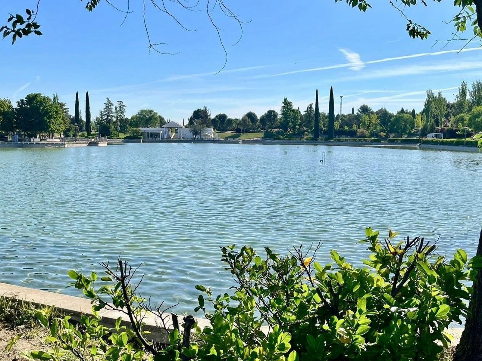 Lago del parque Juan Carlos I de Pinto