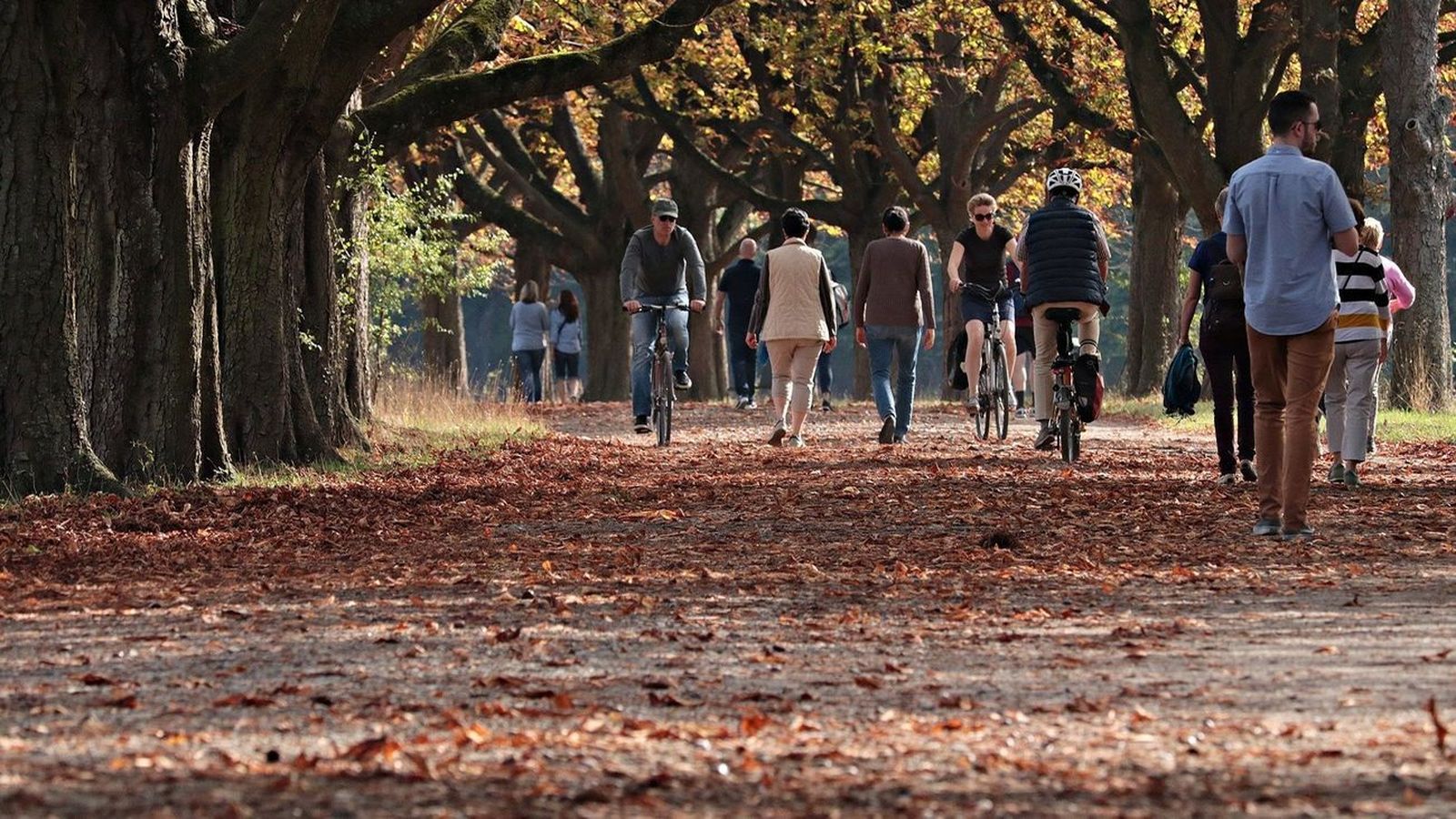 Madrid en Otoño