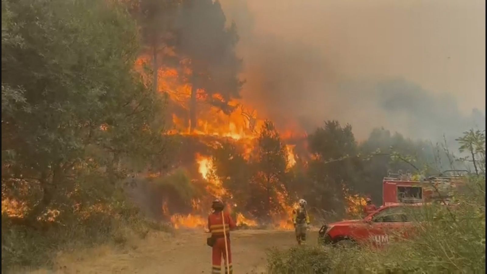 La UME interviene en un incendio forestal