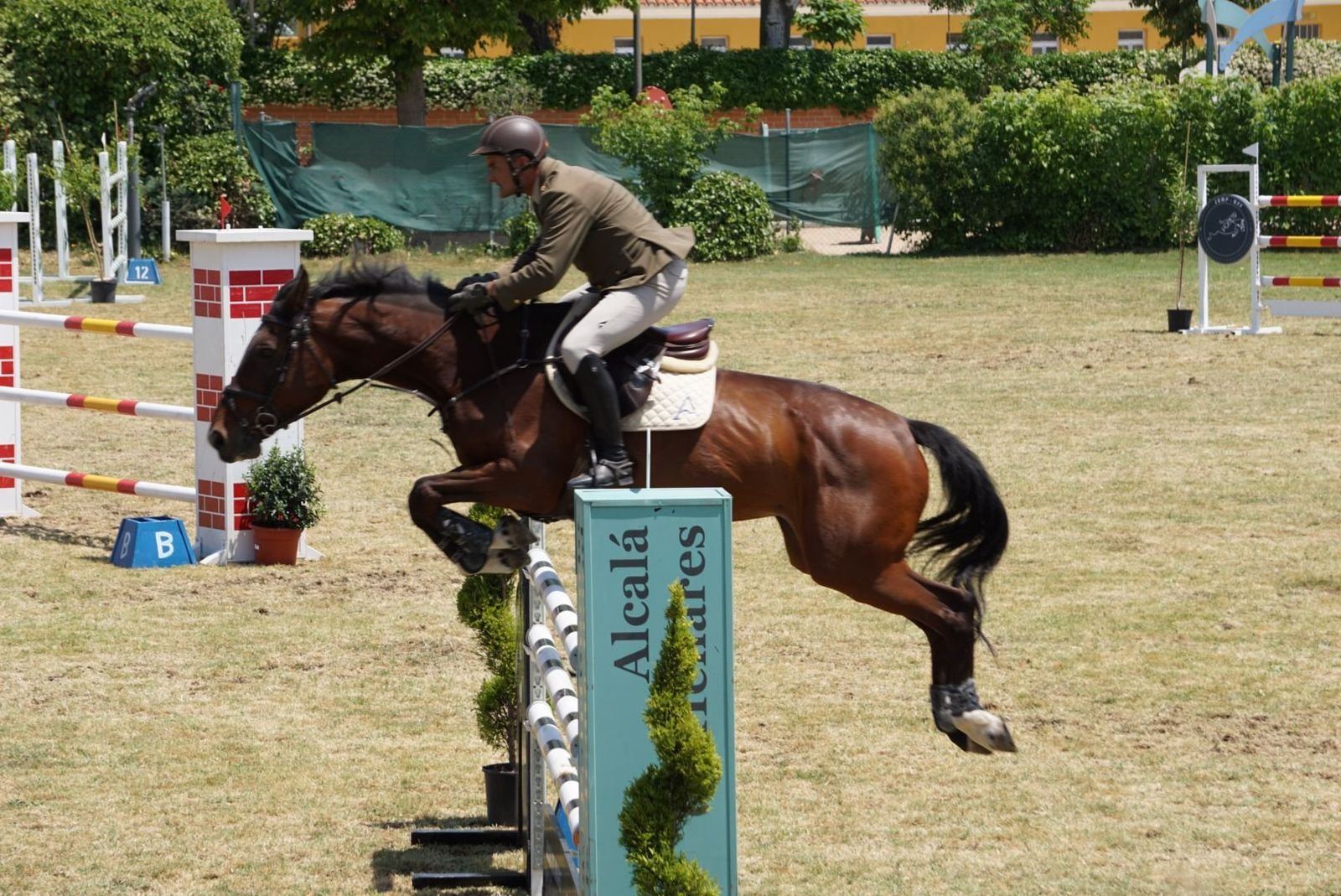 Concurso Hípico Nacional con más de 110 caballos en centro deportivo Militar Alcalá