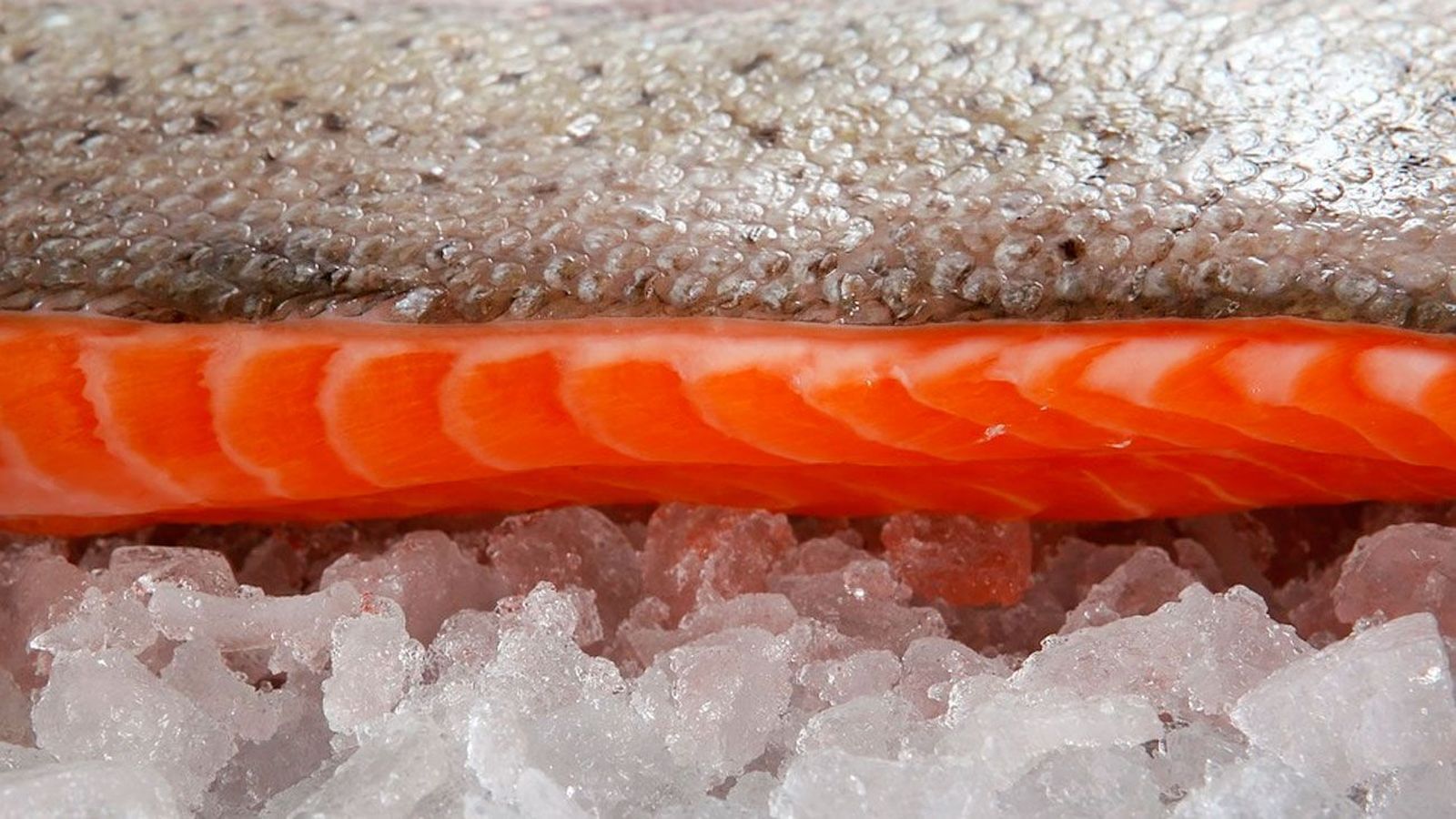 Cómo conservar carne y pescado hasta navidad