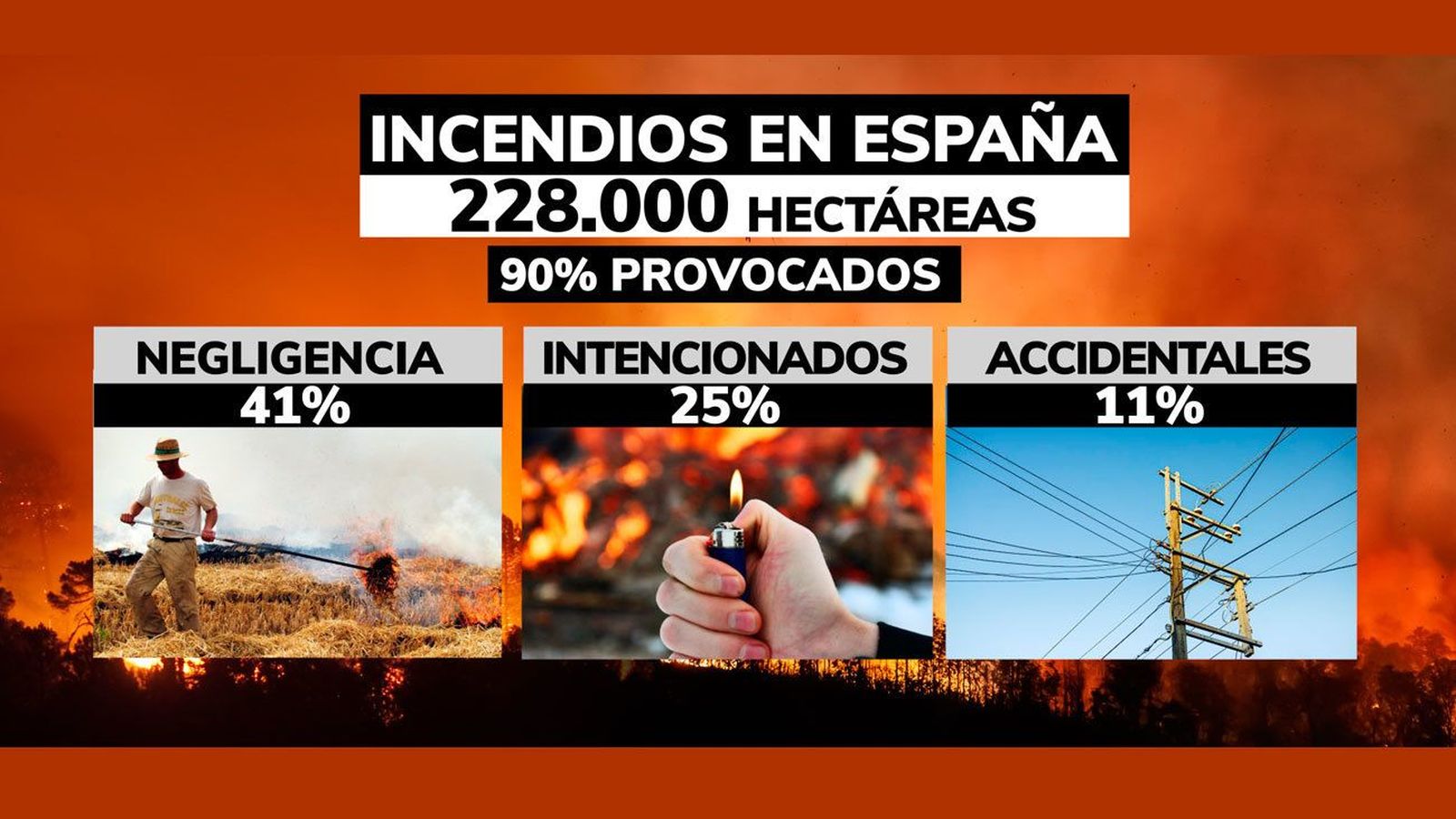 Los incendios destruyen ya más de 228.000 hectáreas en España: cuatro veces la ciudad de Madrid