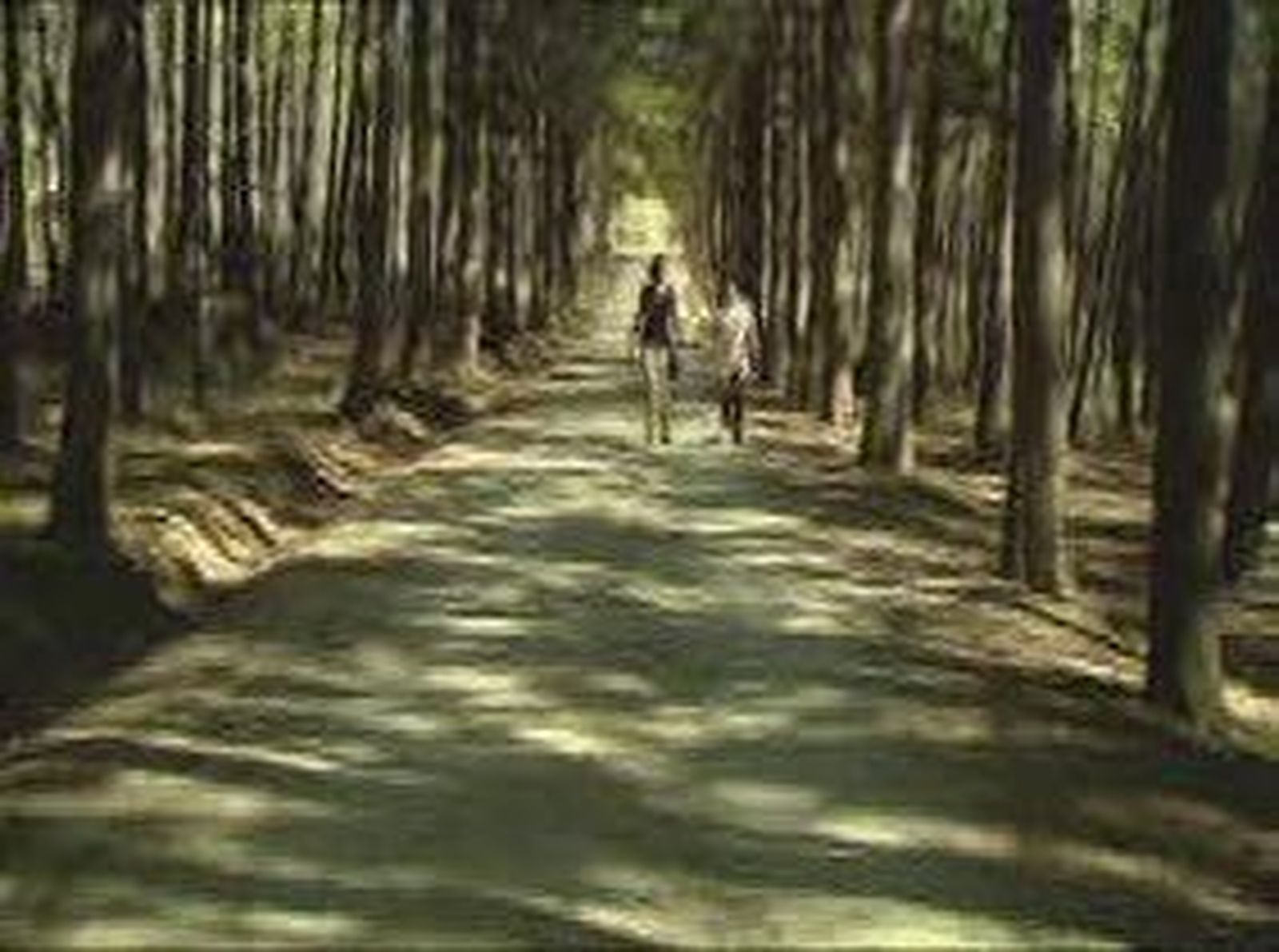 Paseo por Valgallego