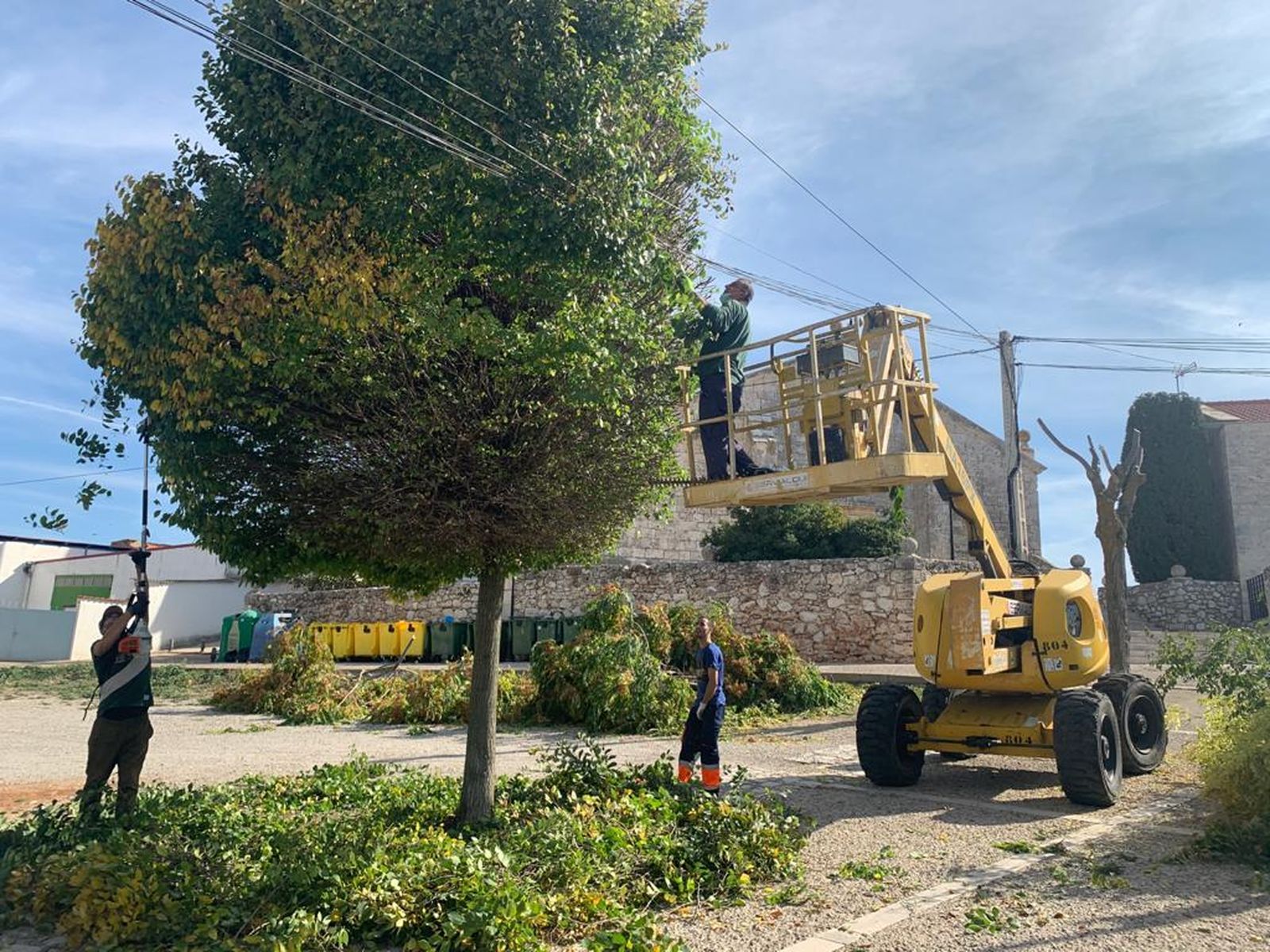 Tareas de poda en el casco urbano de Pozuelo del Rey
