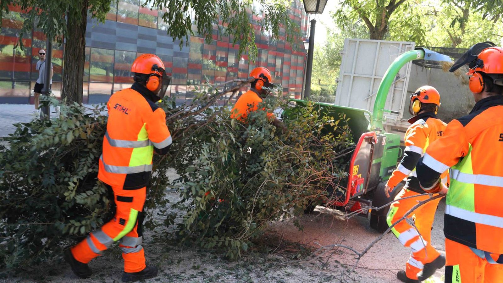 Un día con el Server, el Samur de los árboles
