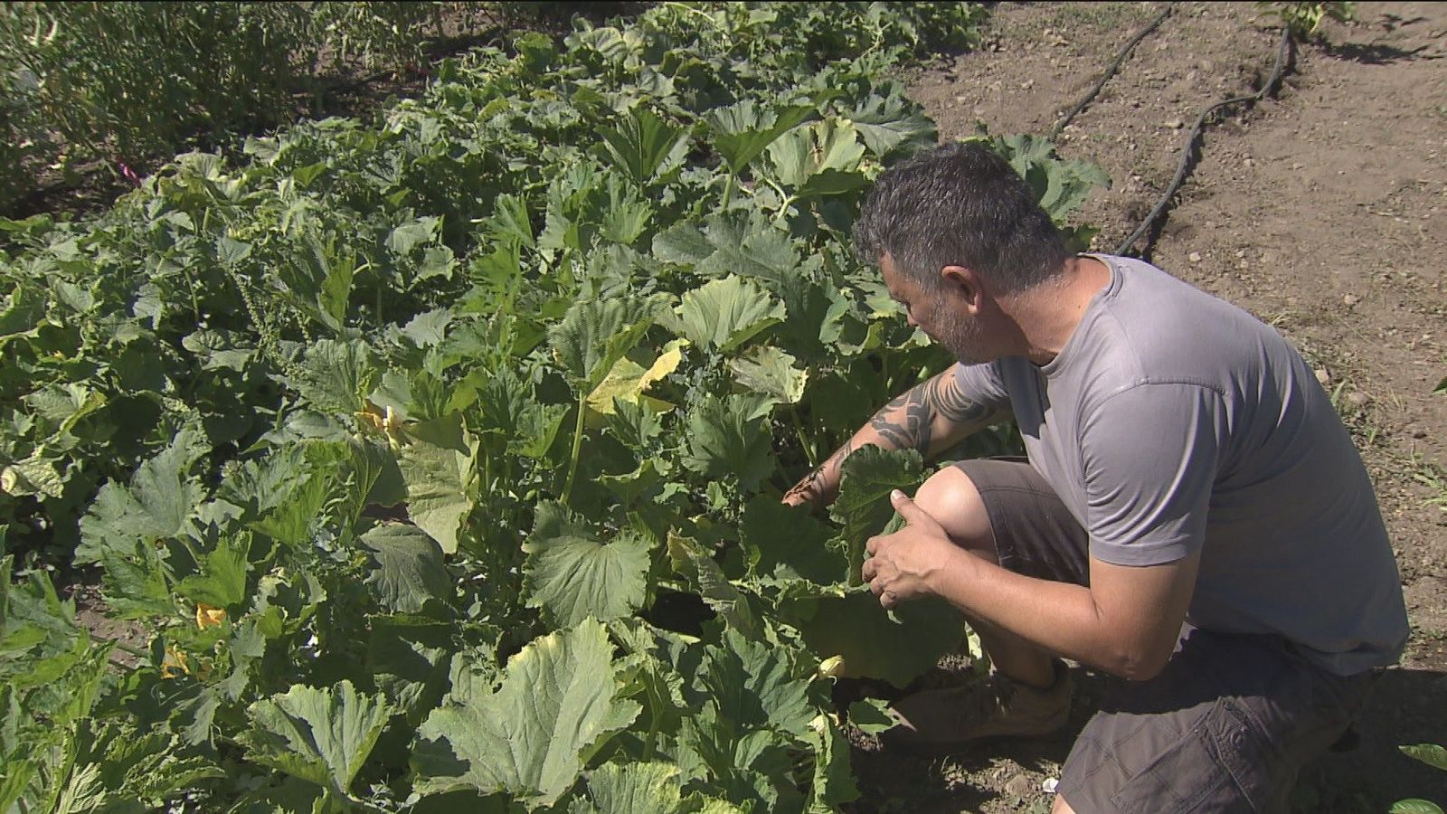 Agrolab, los laboratorios de agricultura abierta de la Comunidad de Madrid