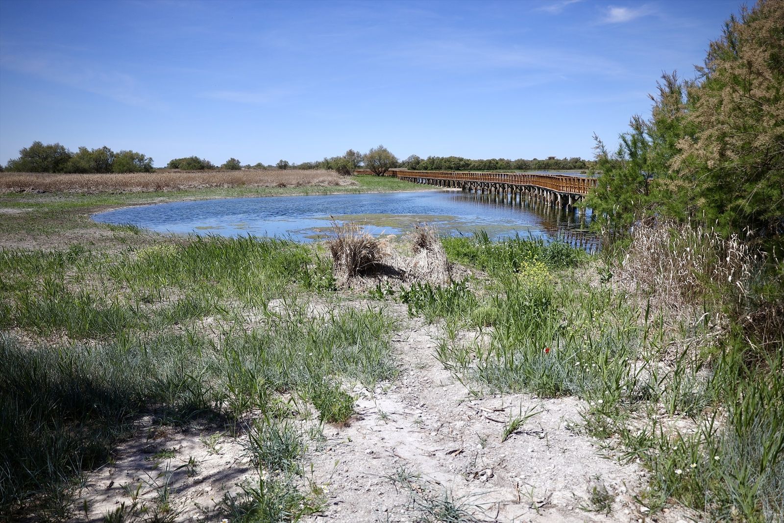 Estado de Las Tablas de Daimiel en abril de 2023