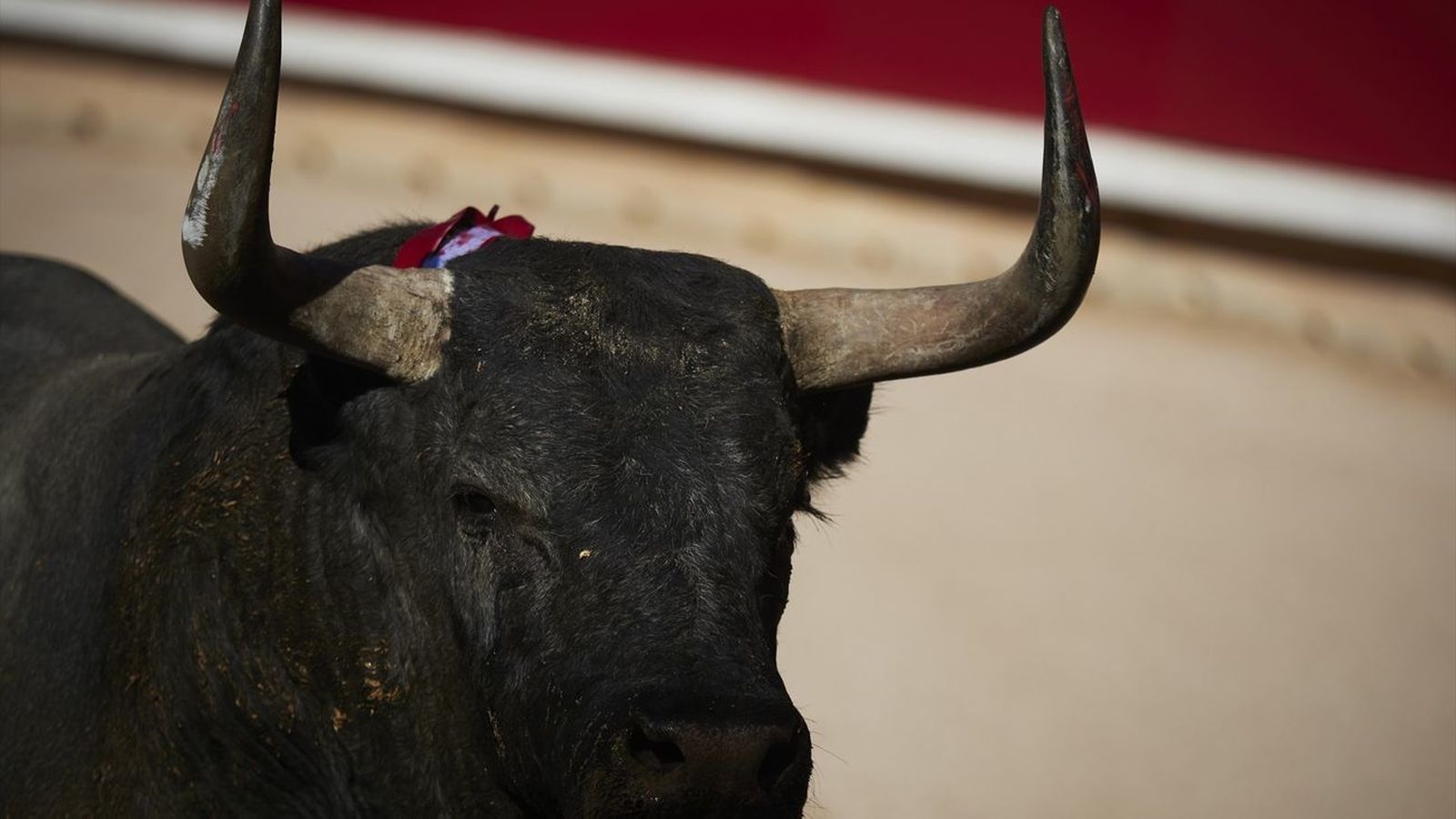 Villalbilla celebra sus fiestas 2022