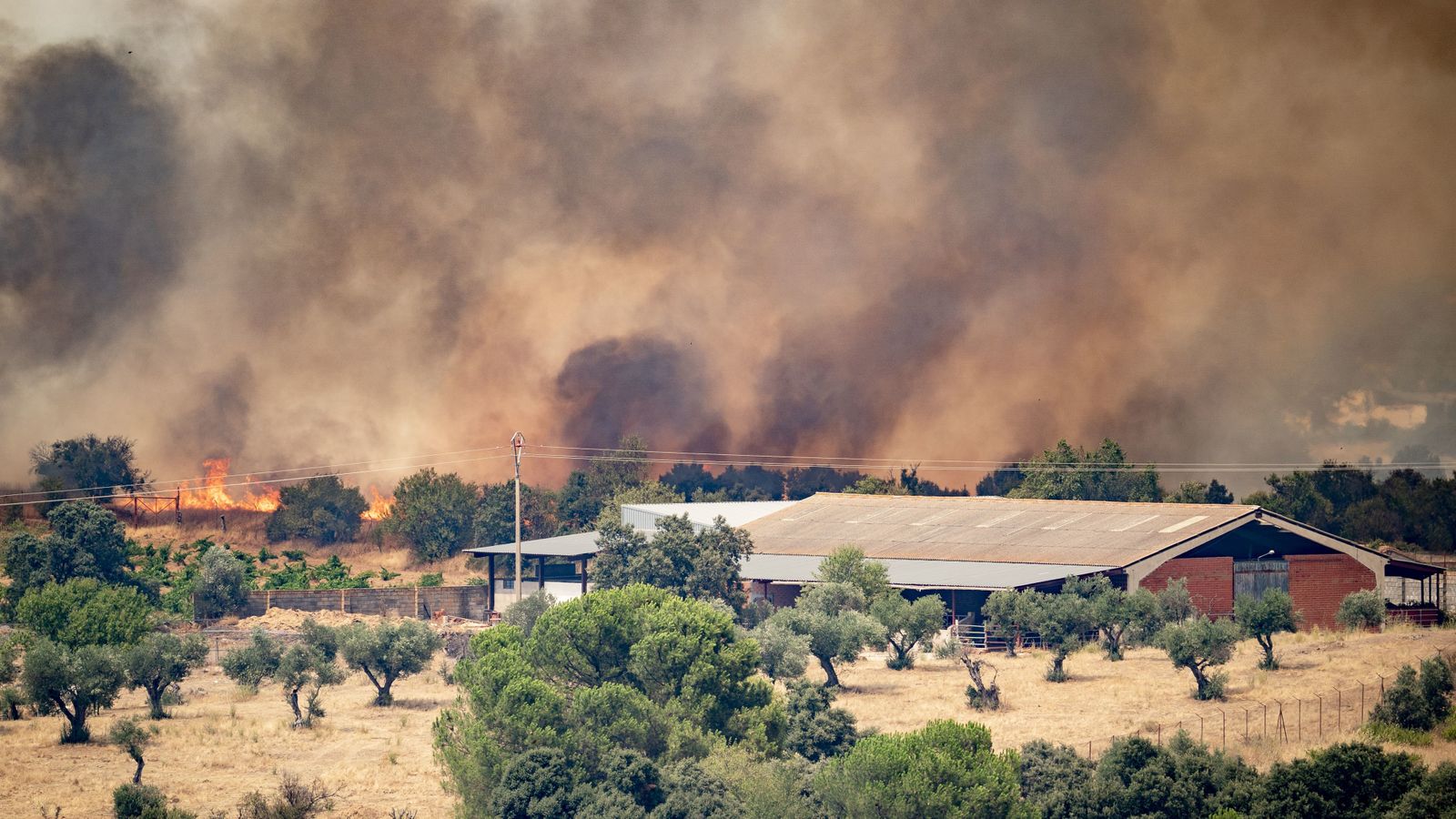 El fuego ha arrasado ya 194.000 hectáreas