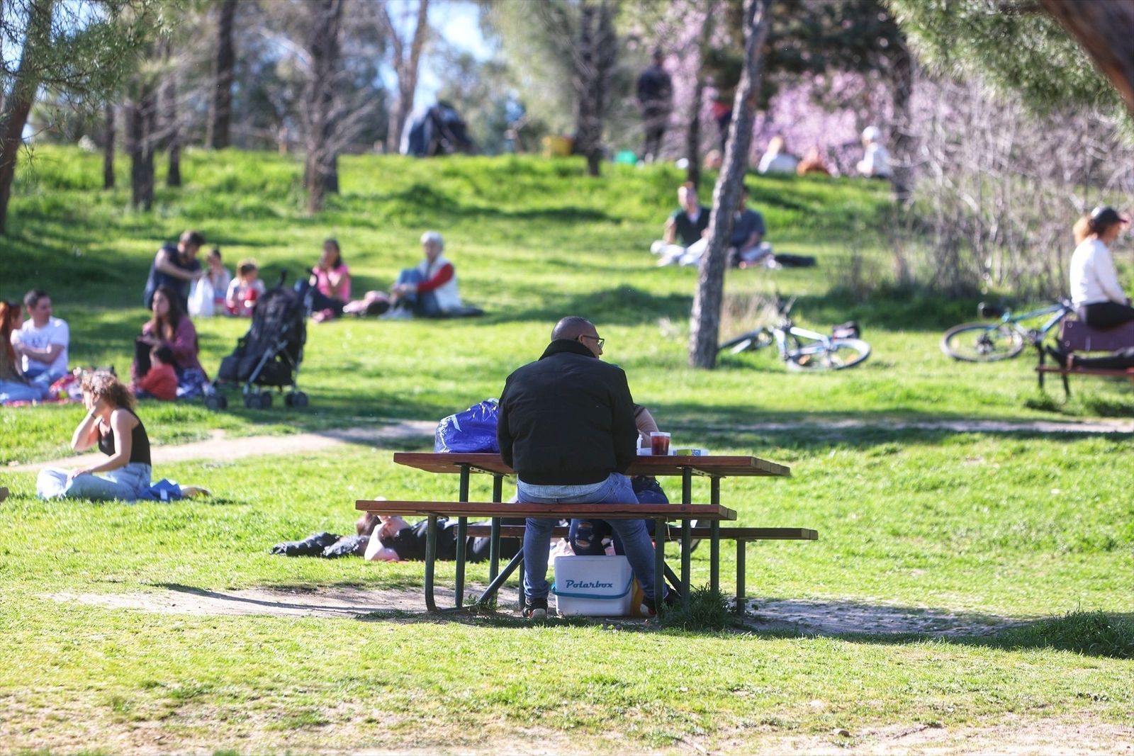 Cinco consejos para prevenir un incendio cuando vas al campo