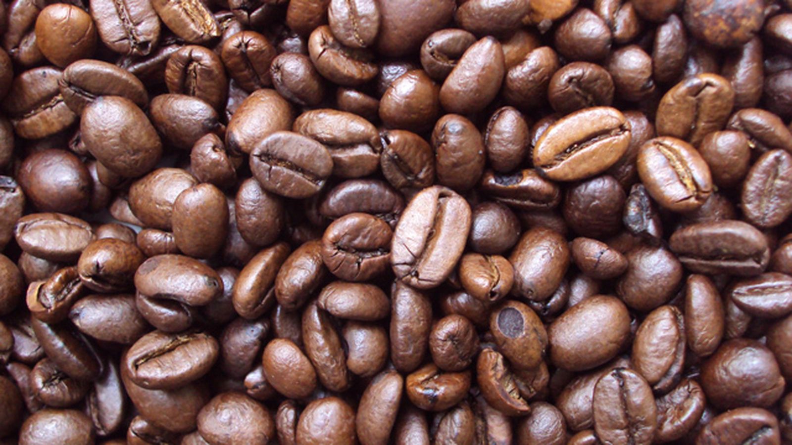 cafe_genoma_1