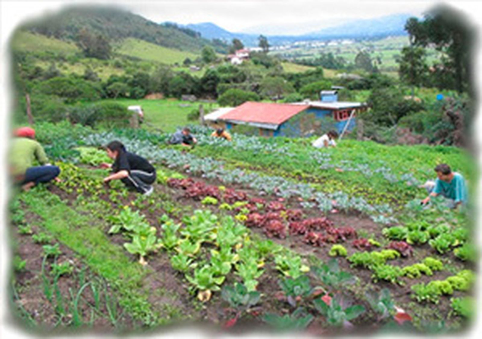 Mi cámara y yo: 'A la huerta de la esquina'