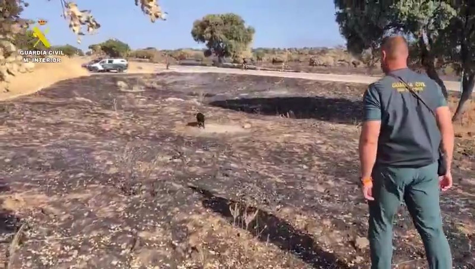 Detenido el responsable de provocar un incendio forestal en Colmenar Viejo en julio