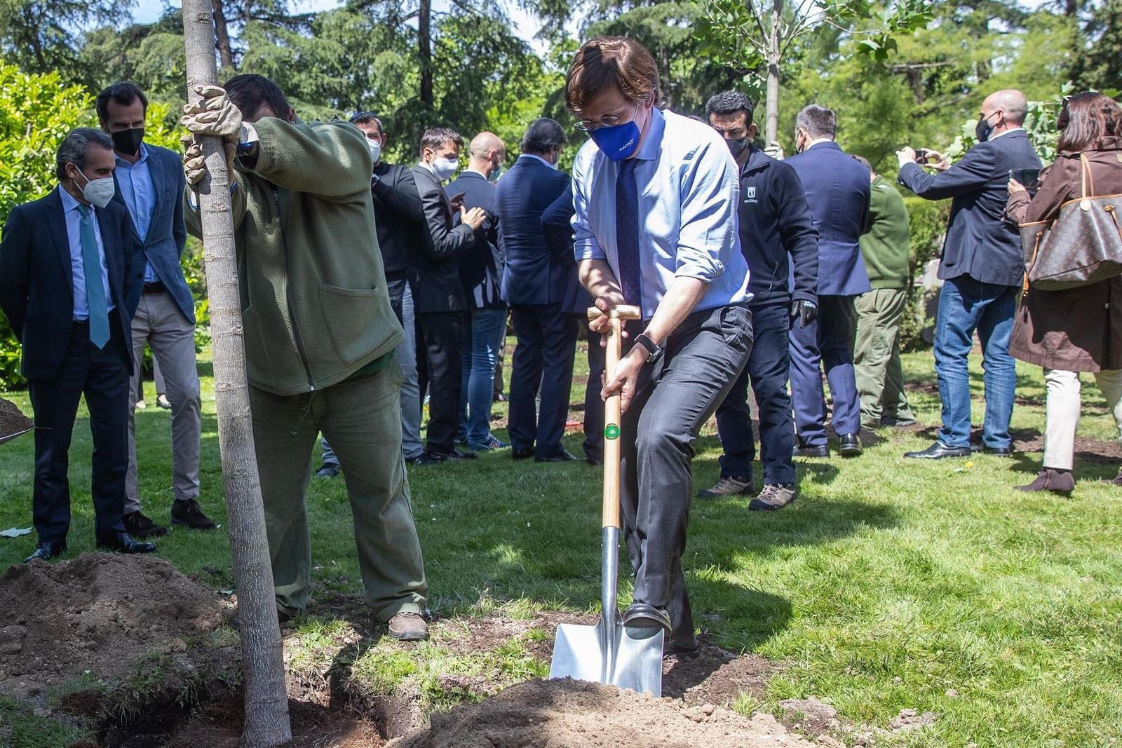 Los madrileños ya pueden plantar o donar árboles con el proyecto Replanta Madrid
