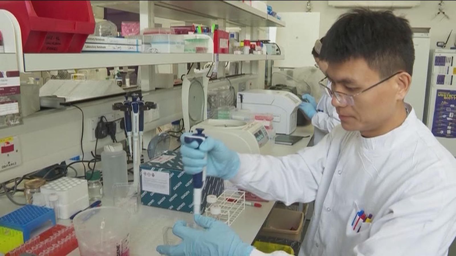 Brote de gripe aviar en China en la región cercana al foco del coronavirus