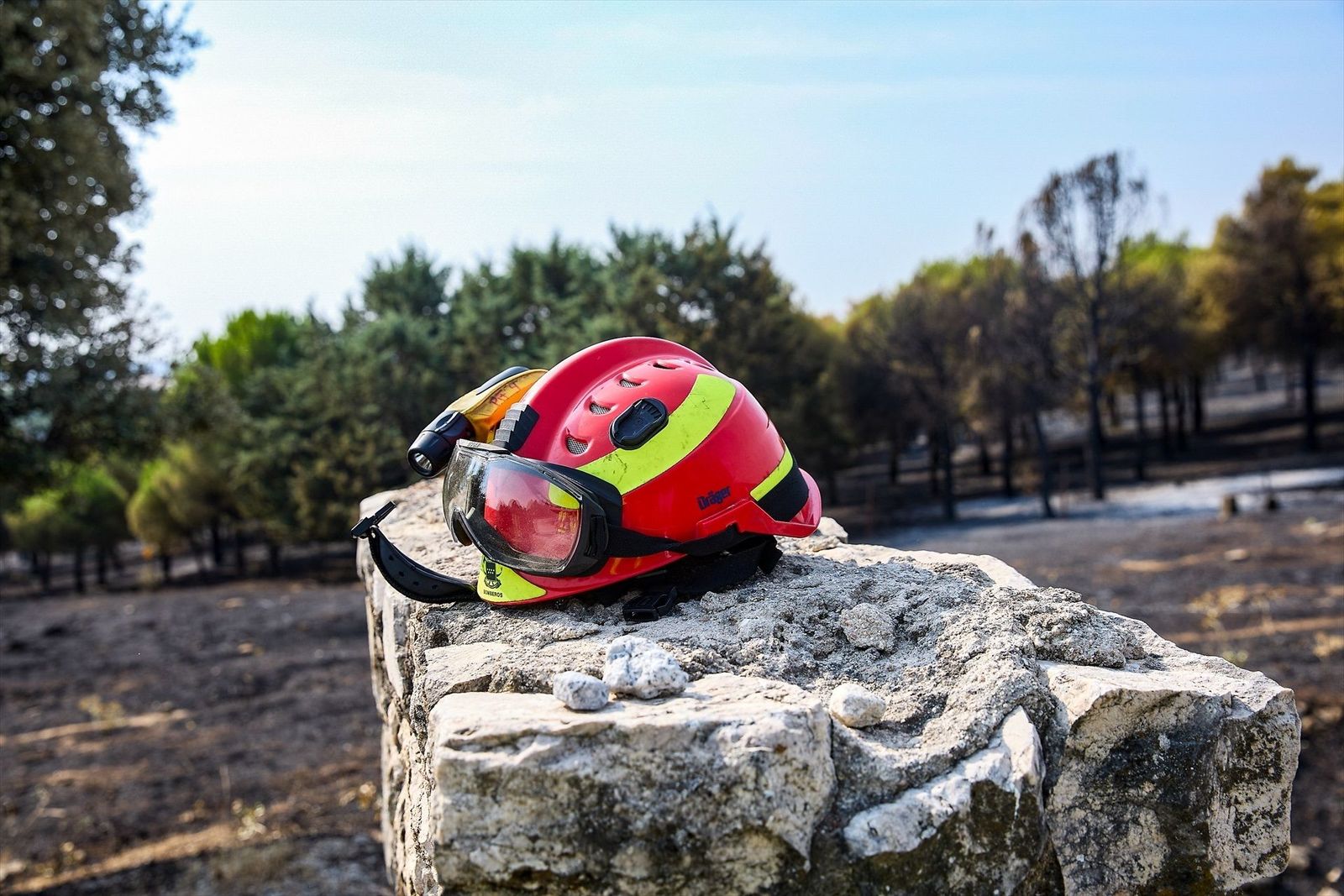 El Gobierno solo ha gastado el 4% de los fondos europeos para gestión forestal