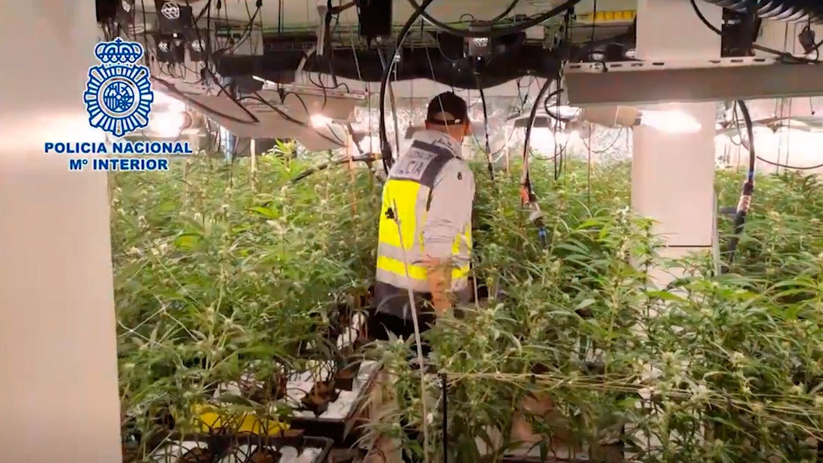 La Policía desmantela una plantación de marihuana y una granja de criptomonedas en dos chalets de lujo en Villalbilla