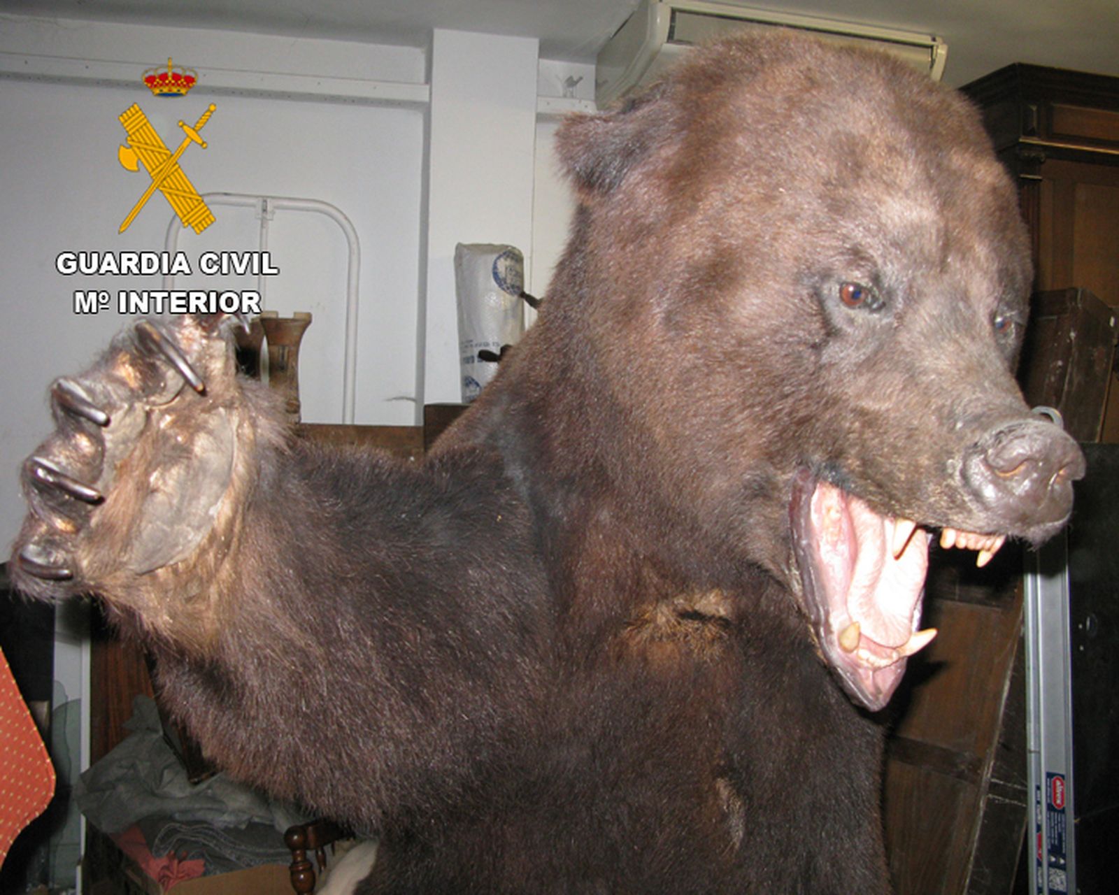 Gran operación de la Guardia Civil contra el tráfico furtivo de animales