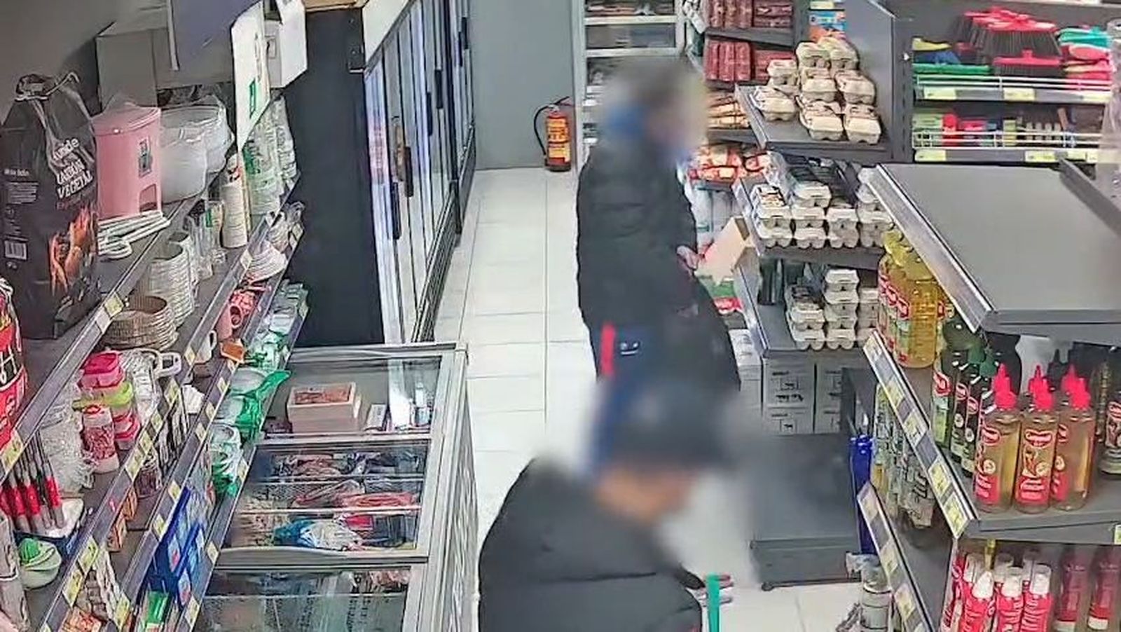 Cinco detenidos por robar productos en farmacias y supermercados en Torres de la Alameda y Seseña