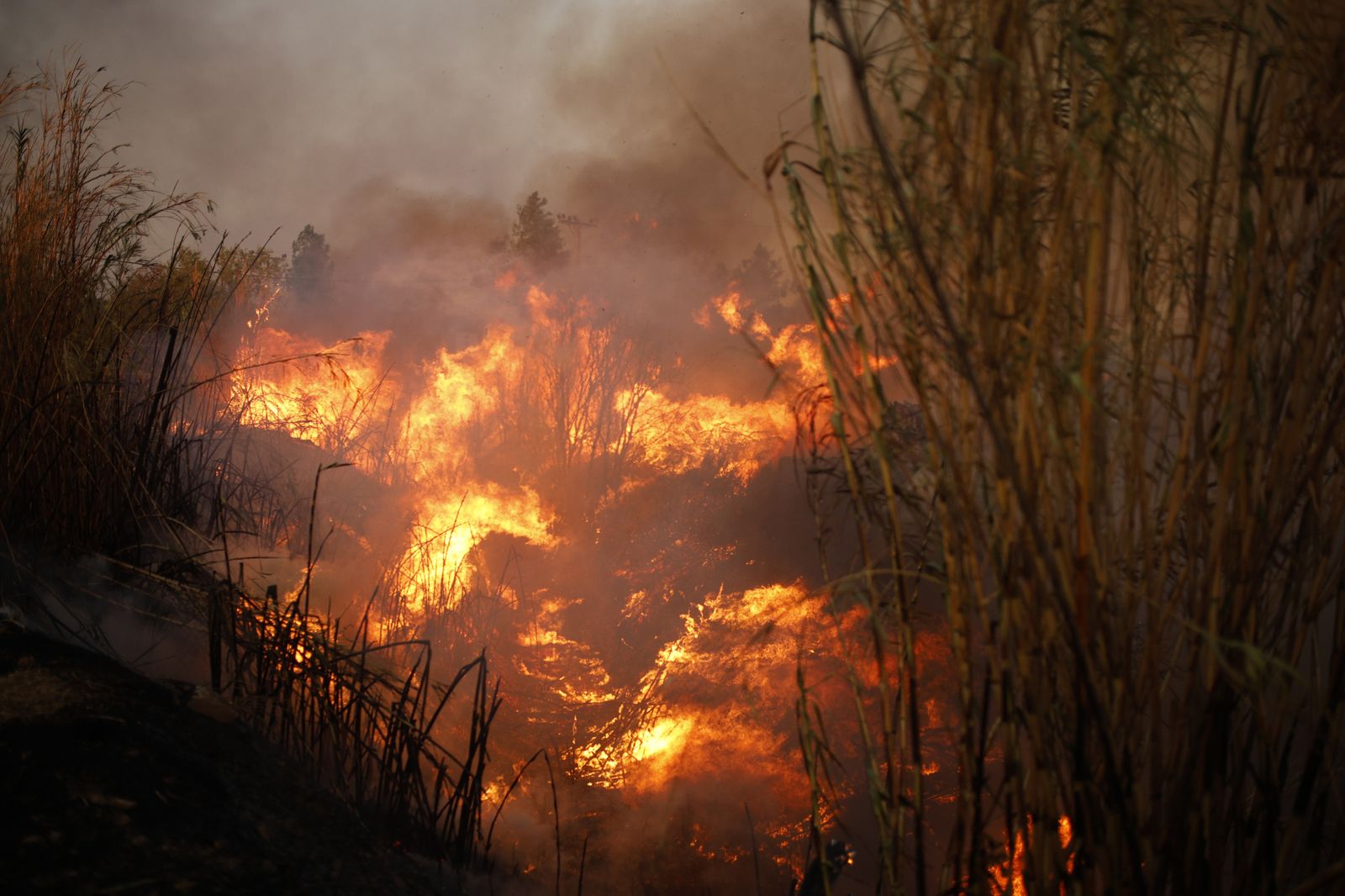 Hallan un cuerpo calcinado en el incendio a las puertas de Atenas
