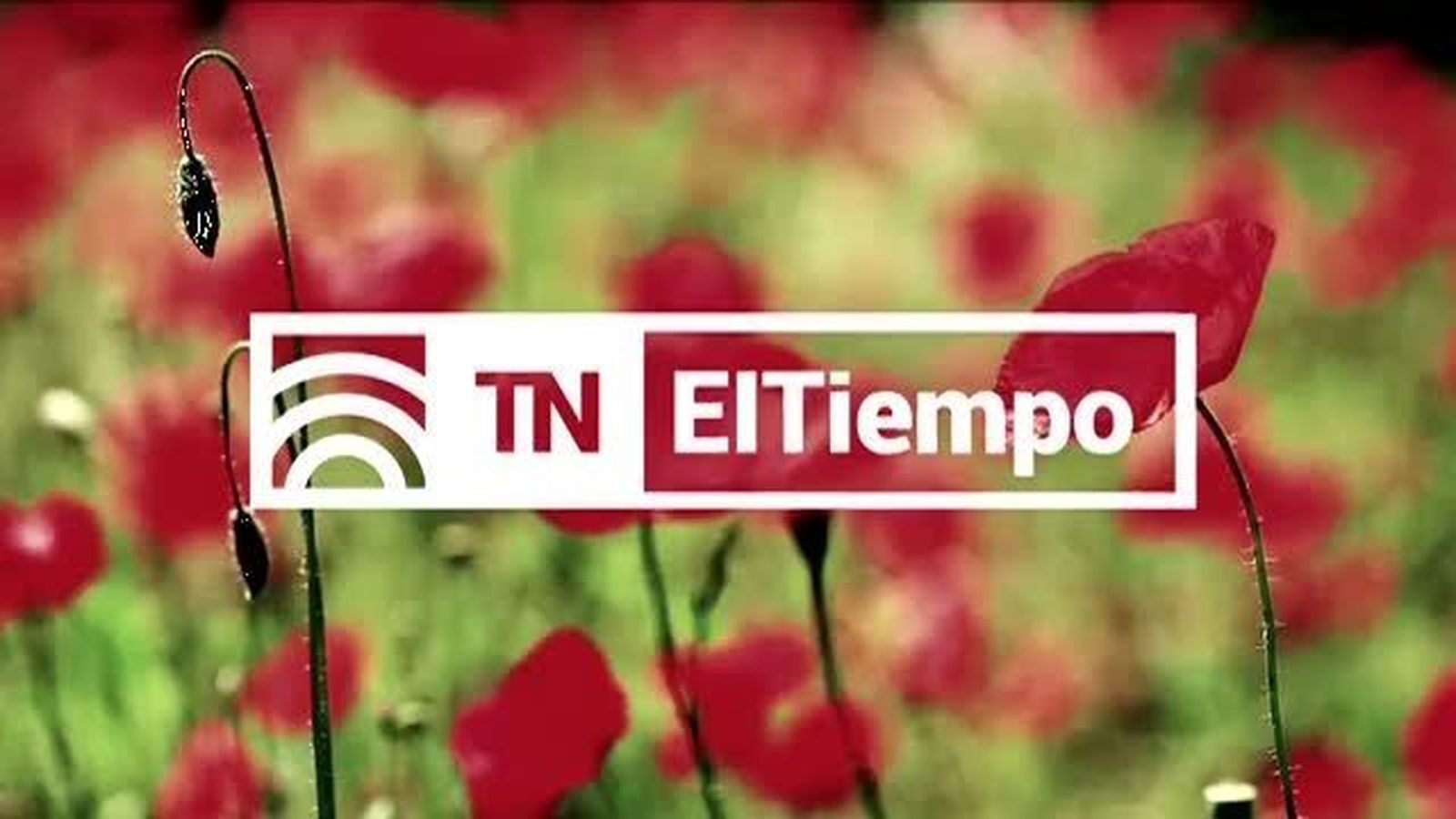 El Tiempo 2 17.02.2018